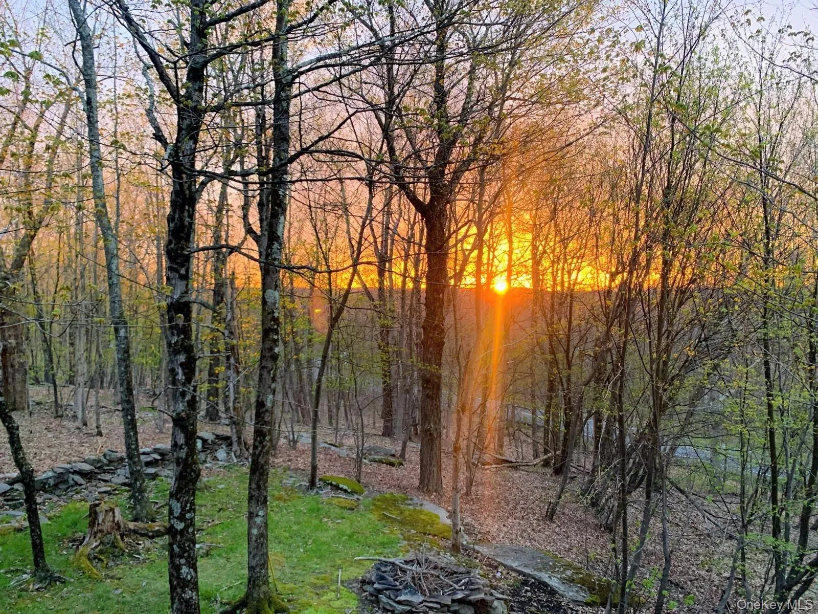 27 Fox Run, Fallsburg, NY, 2 Bedrooms Bedrooms, 6 Rooms Rooms,2 BathroomsBathrooms,Residential,For Rent,Fox,0,1041901 27 Fox Run, Fallsburg, NY, 2 Bedrooms Bedrooms, 6 Rooms Rooms,2 BathroomsBathrooms,Residential,For Rent,Fox,0,1041901