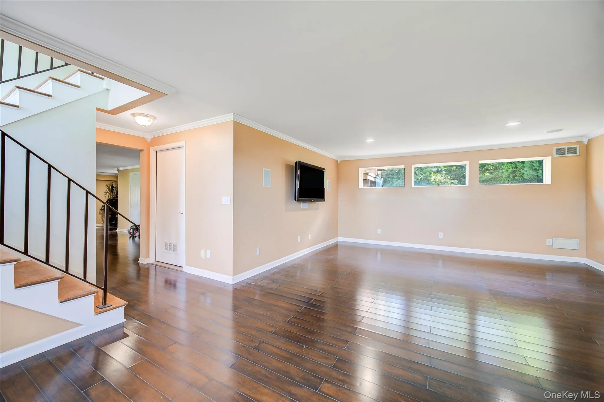 Tremendous Den on lower level with limitless possibilities Tremendous Den on lower level with limitless possibilities
