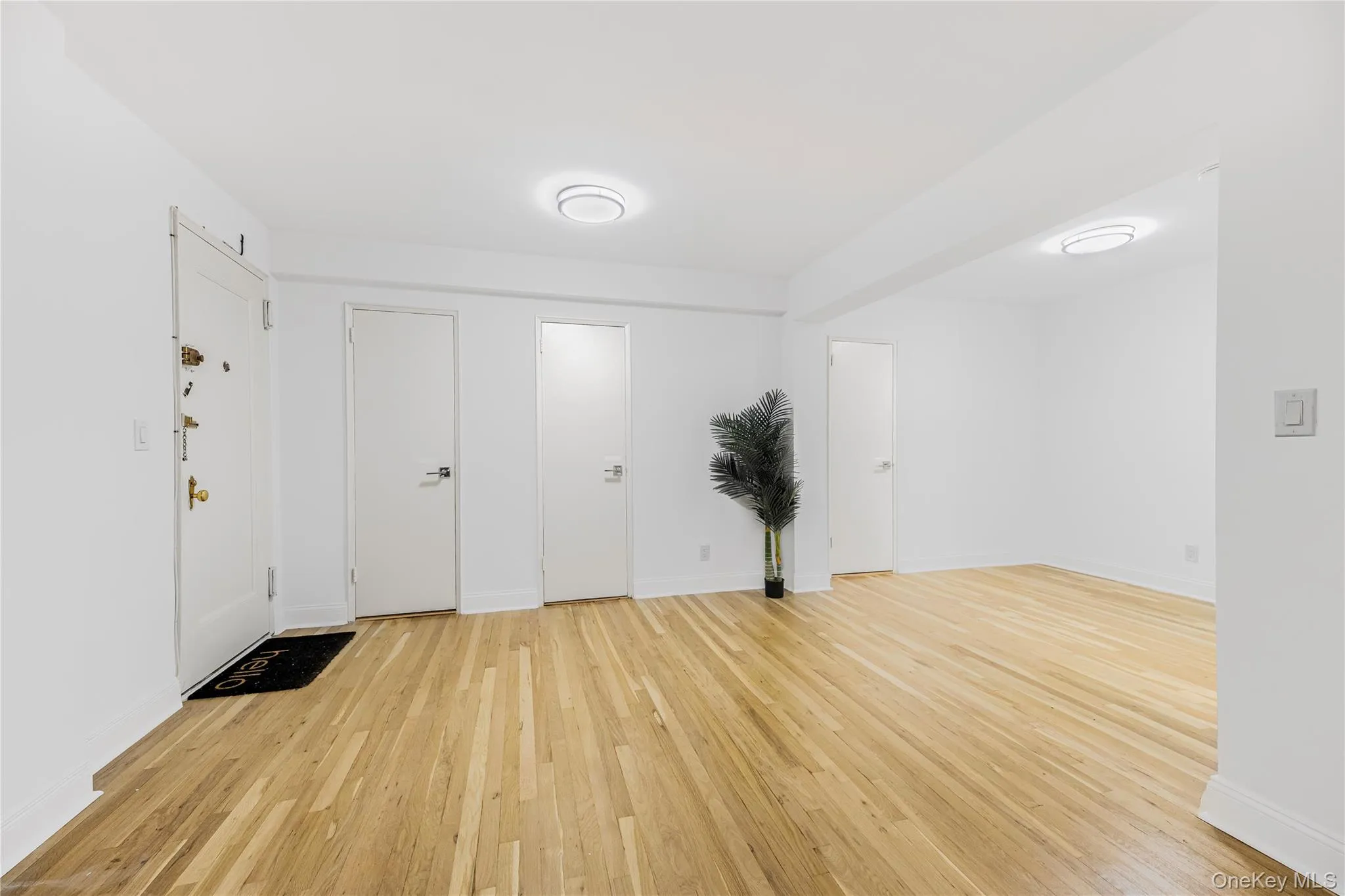 Alternate view of living area with three closet doors Alternate view of living area with three closet doors