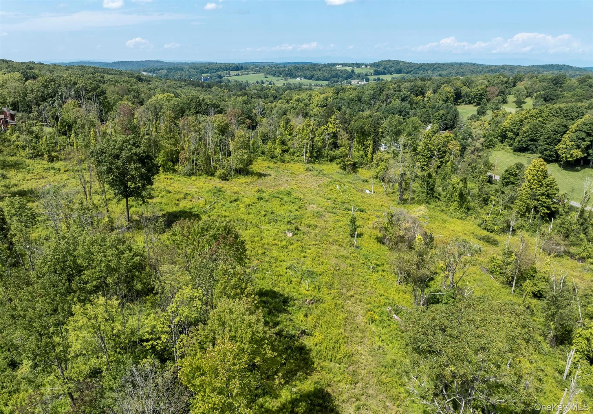 Partially cleared of woods Partially cleared of woods