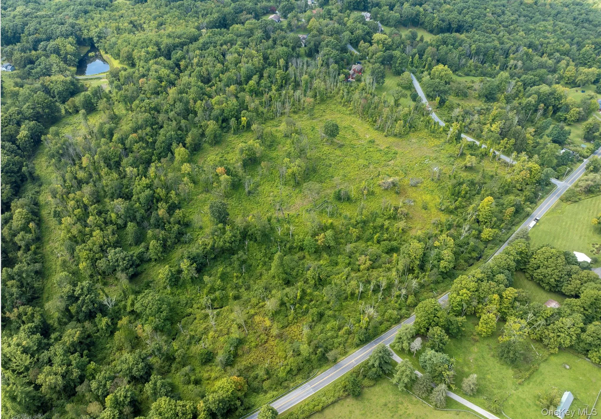 Camby Road, Union Vale, NY, ,Land,For Rent,Camby,0,1042027 Camby Road, Union Vale, NY, ,Land,For Rent,Camby,0,1042027