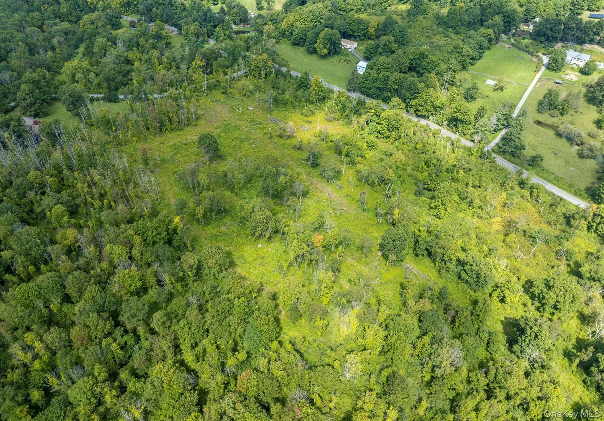 Camby Road, Union Vale, NY, ,Land,For Rent,Camby,0,1042027 Camby Road, Union Vale, NY, ,Land,For Rent,Camby,0,1042027