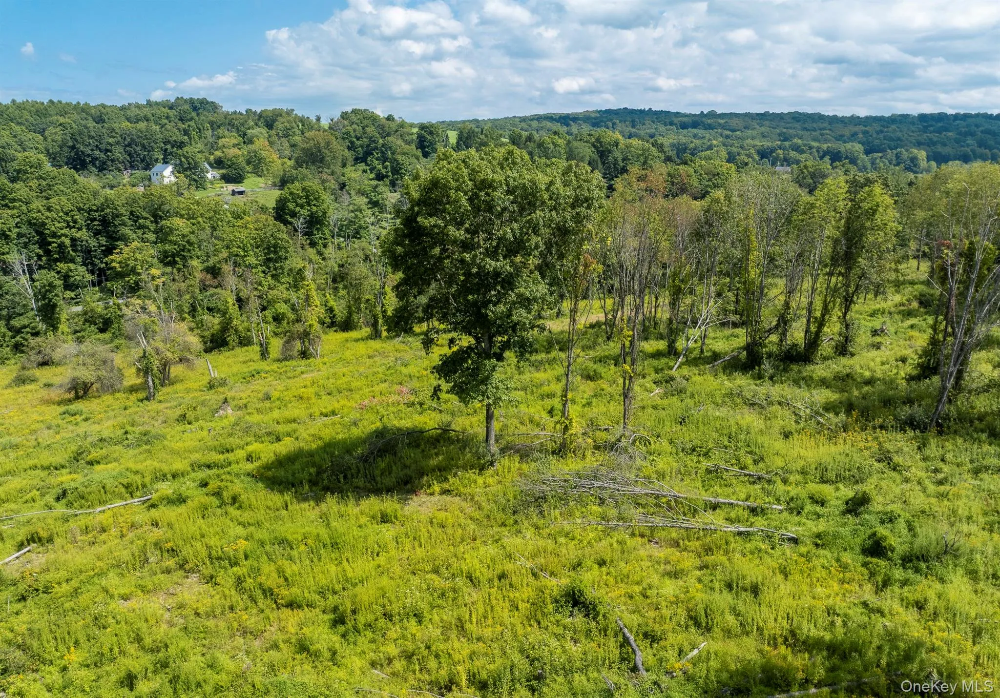 Camby Road, Union Vale, NY, ,Land,For Rent,Camby,0,1042027 Camby Road, Union Vale, NY, ,Land,For Rent,Camby,0,1042027