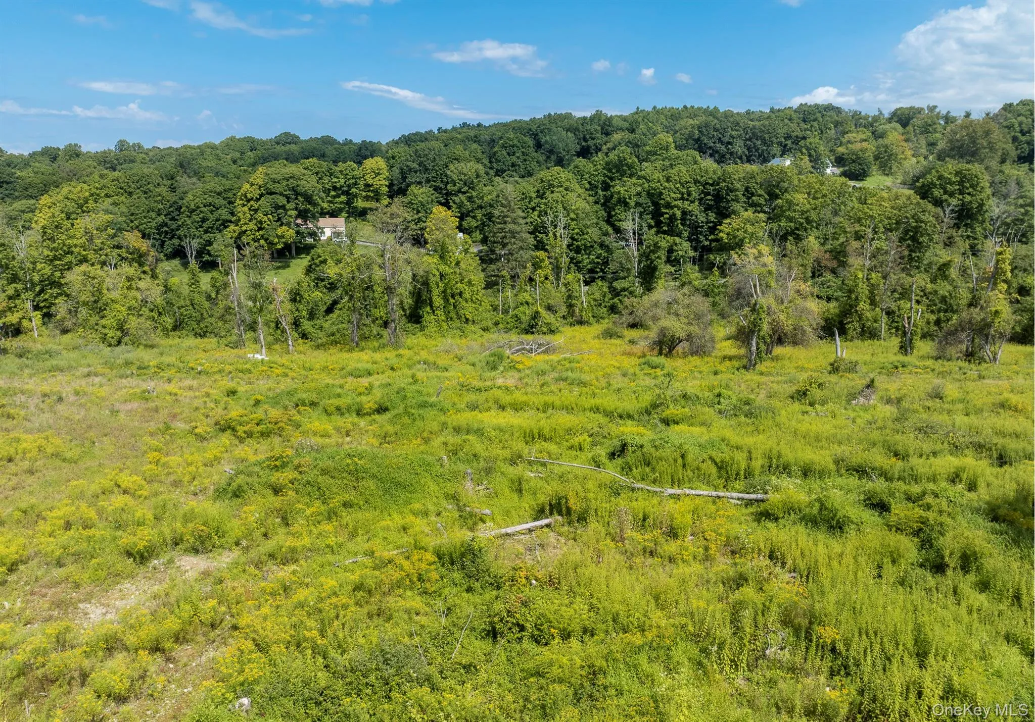 Camby Road, Union Vale, NY, ,Land,For Rent,Camby,0,1042027 Camby Road, Union Vale, NY, ,Land,For Rent,Camby,0,1042027