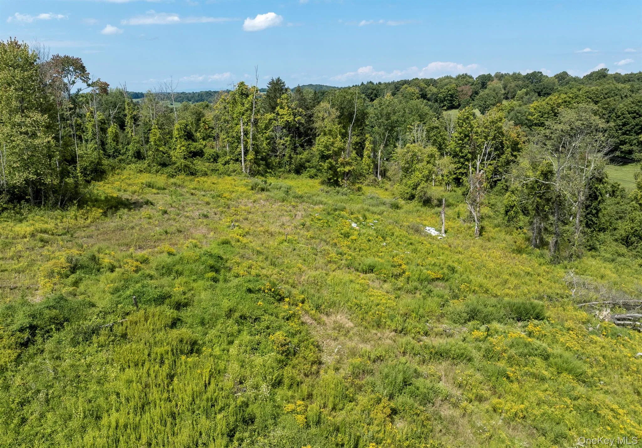 Camby Road, Union Vale, NY, ,Land,For Rent,Camby,0,1042027 Camby Road, Union Vale, NY, ,Land,For Rent,Camby,0,1042027