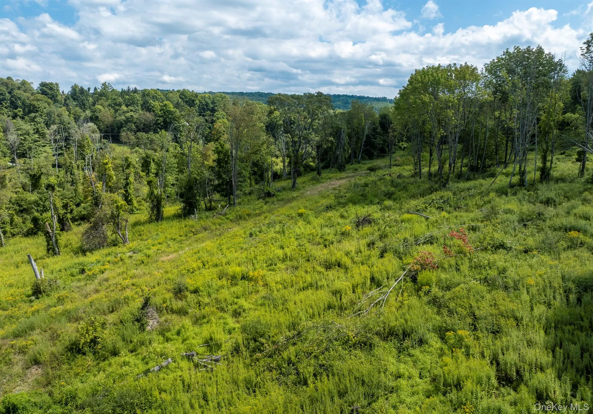 Camby Road, Union Vale, NY, ,Land,For Rent,Camby,0,1042027 Camby Road, Union Vale, NY, ,Land,For Rent,Camby,0,1042027