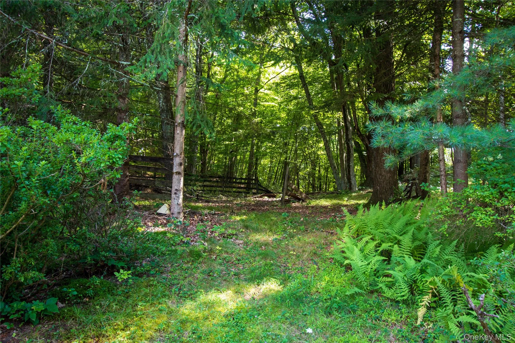 17 Molland Drive, Milan, NY, 4 Bedrooms Bedrooms, 11 Rooms Rooms,2 BathroomsBathrooms,Residential,For Rent,Molland,0,1042046 17 Molland Drive, Milan, NY, 4 Bedrooms Bedrooms, 11 Rooms Rooms,2 BathroomsBathrooms,Residential,For Rent,Molland,0,1042046