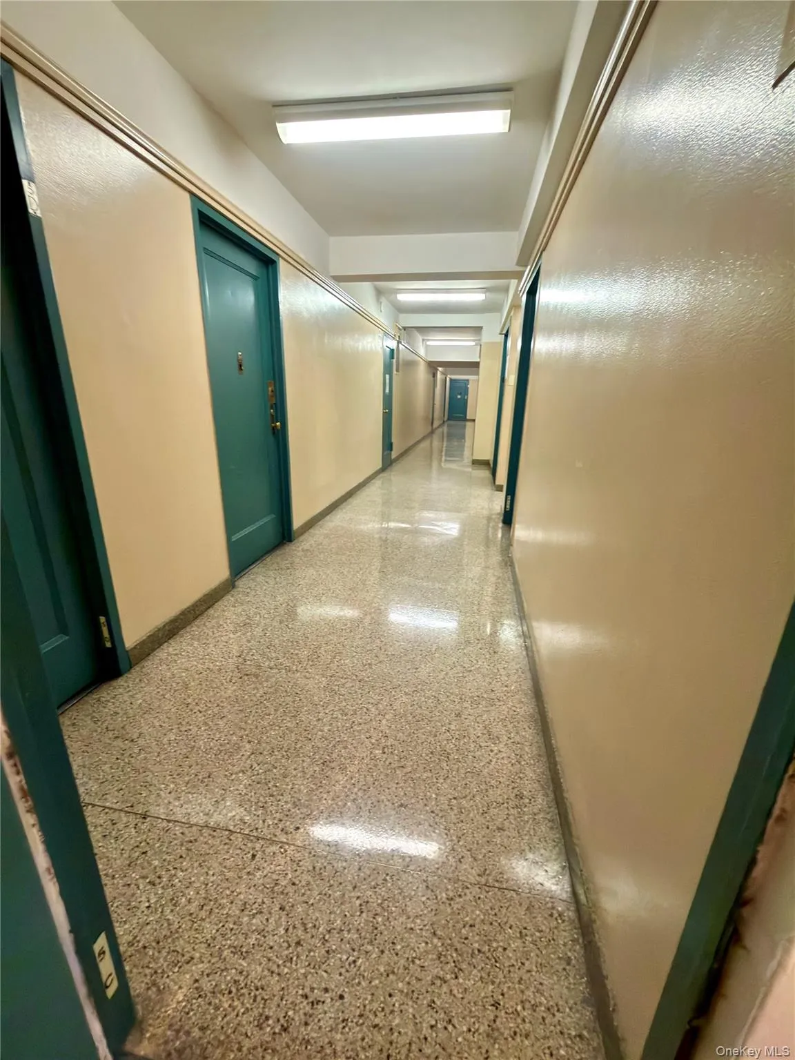 1591 Metropolitan Avenue, New York, NY, 1 Bedroom Bedrooms, 3 Rooms Rooms,1 BathroomBathrooms,Residential,For Rent,Metropolitan,0,1042082 1591 Metropolitan Avenue, New York, NY, 1 Bedroom Bedrooms, 3 Rooms Rooms,1 BathroomBathrooms,Residential,For Rent,Metropolitan,0,1042082