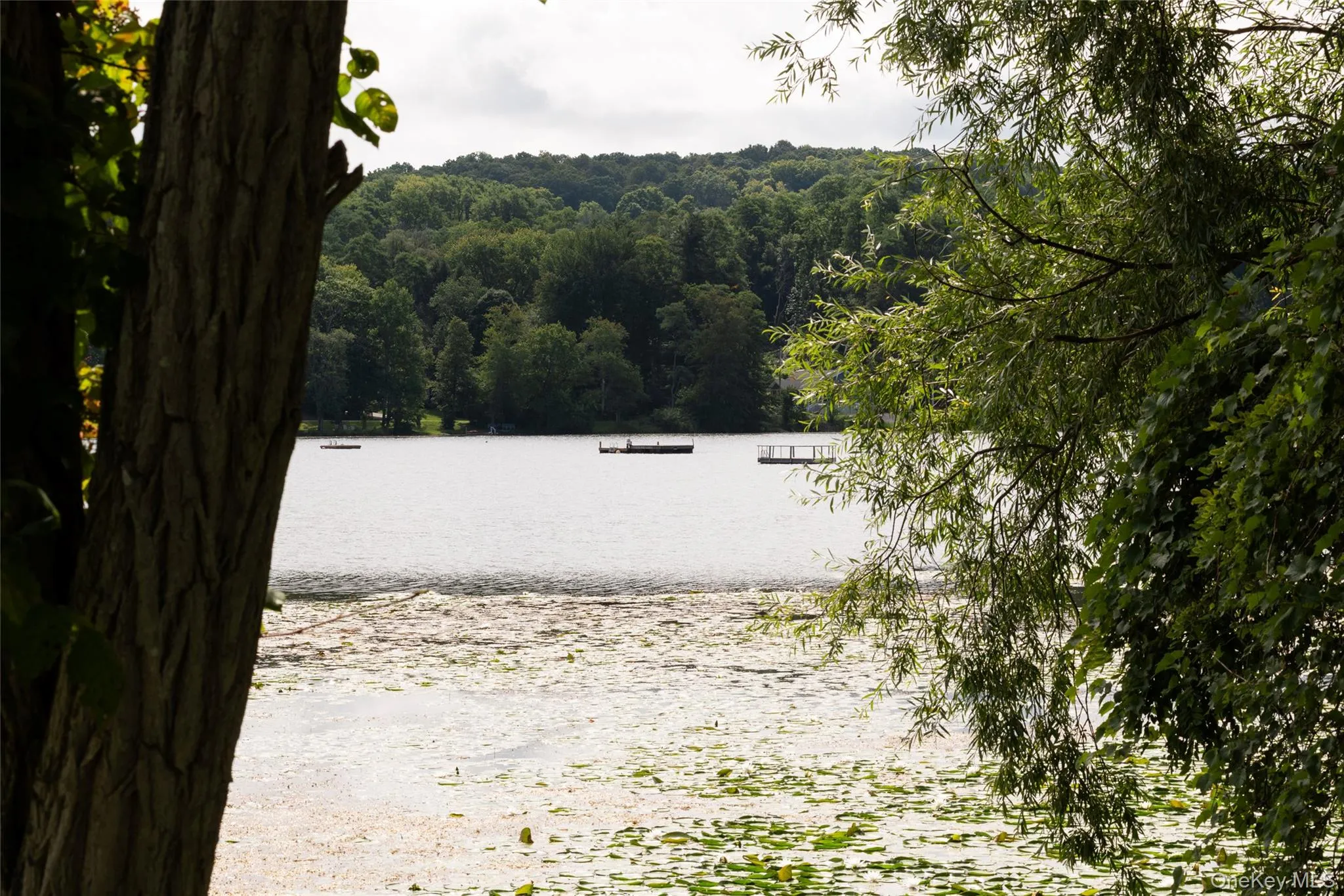 119 Hunns Lake Road, Stanford, NY, 3 Bedrooms Bedrooms, 8 Rooms Rooms,2 BathroomsBathrooms,Residential,For Rent,Hunns Lake,0,1042095 119 Hunns Lake Road, Stanford, NY, 3 Bedrooms Bedrooms, 8 Rooms Rooms,2 BathroomsBathrooms,Residential,For Rent,Hunns Lake,0,1042095