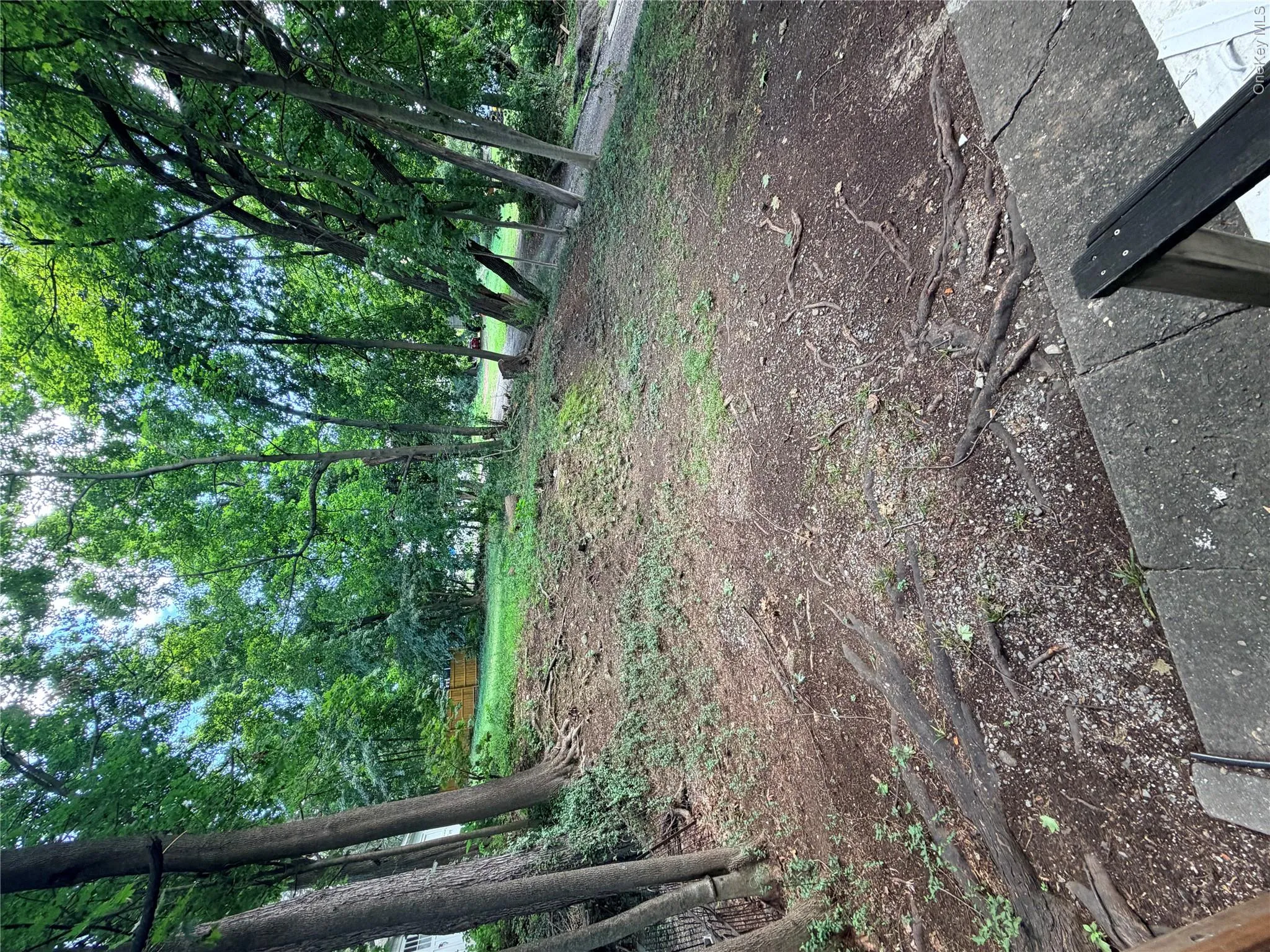 20 Bush Avenue, Newburgh (city), NY, 3 Bedrooms Bedrooms, 8 Rooms Rooms,2 BathroomsBathrooms,Residential,For Rent,Bush,0,1042135 20 Bush Avenue, Newburgh (city), NY, 3 Bedrooms Bedrooms, 8 Rooms Rooms,2 BathroomsBathrooms,Residential,For Rent,Bush,0,1042135