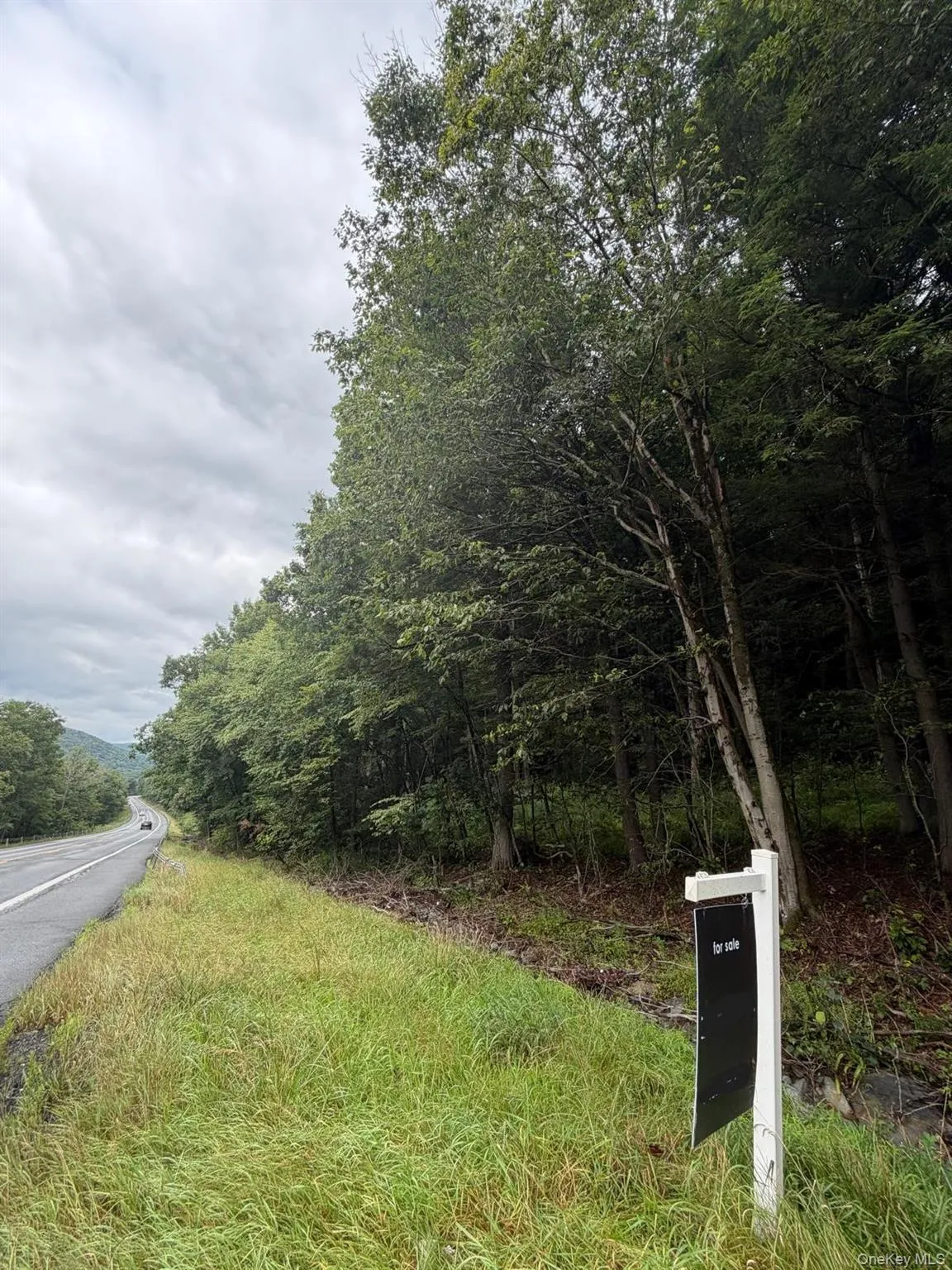 0 State Highway 97, Hancock, NY, ,Land,For Rent,State Highway 97,0,1042137 0 State Highway 97, Hancock, NY, ,Land,For Rent,State Highway 97,0,1042137