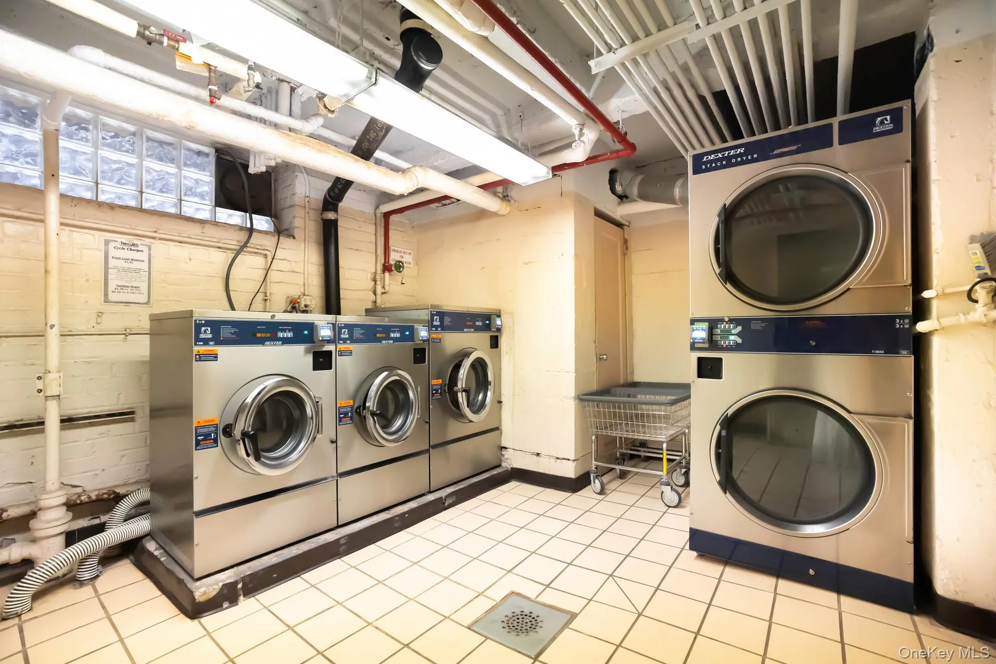 102-55 67 Road, New York, NY, 1 Bedroom Bedrooms, 4 Room Rooms,1 BathroomBathrooms,Residential Lease,For Rent,67,0,1042160 102-55 67 Road, New York, NY, 1 Bedroom Bedrooms, 4 Room Rooms,1 BathroomBathrooms,Residential Lease,For Rent,67,0,1042160