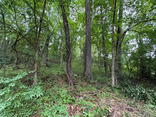 140 Drury Lane, Newburgh (town), NY, 1 Bedroom Bedrooms, 5 Rooms Rooms,1 BathroomBathrooms,Residential,For Rent,Drury,0,1042192 140 Drury Lane, Newburgh (town), NY, 1 Bedroom Bedrooms, 5 Rooms Rooms,1 BathroomBathrooms,Residential,For Rent,Drury,0,1042192
