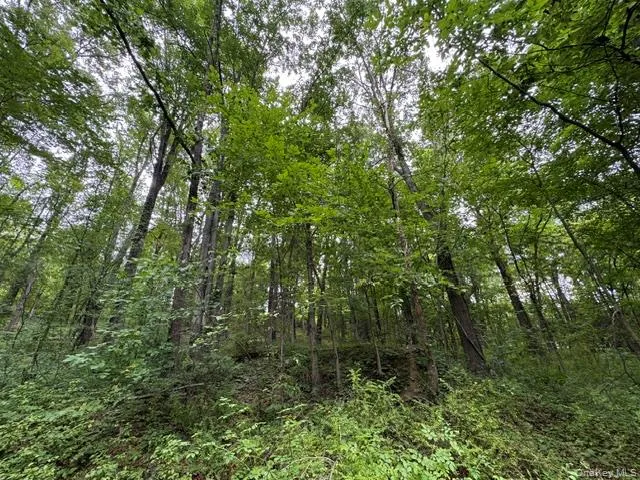 140 Drury Lane, Newburgh (town), NY, 1 Bedroom Bedrooms, 5 Rooms Rooms,1 BathroomBathrooms,Residential,For Rent,Drury,0,1042192 140 Drury Lane, Newburgh (town), NY, 1 Bedroom Bedrooms, 5 Rooms Rooms,1 BathroomBathrooms,Residential,For Rent,Drury,0,1042192
