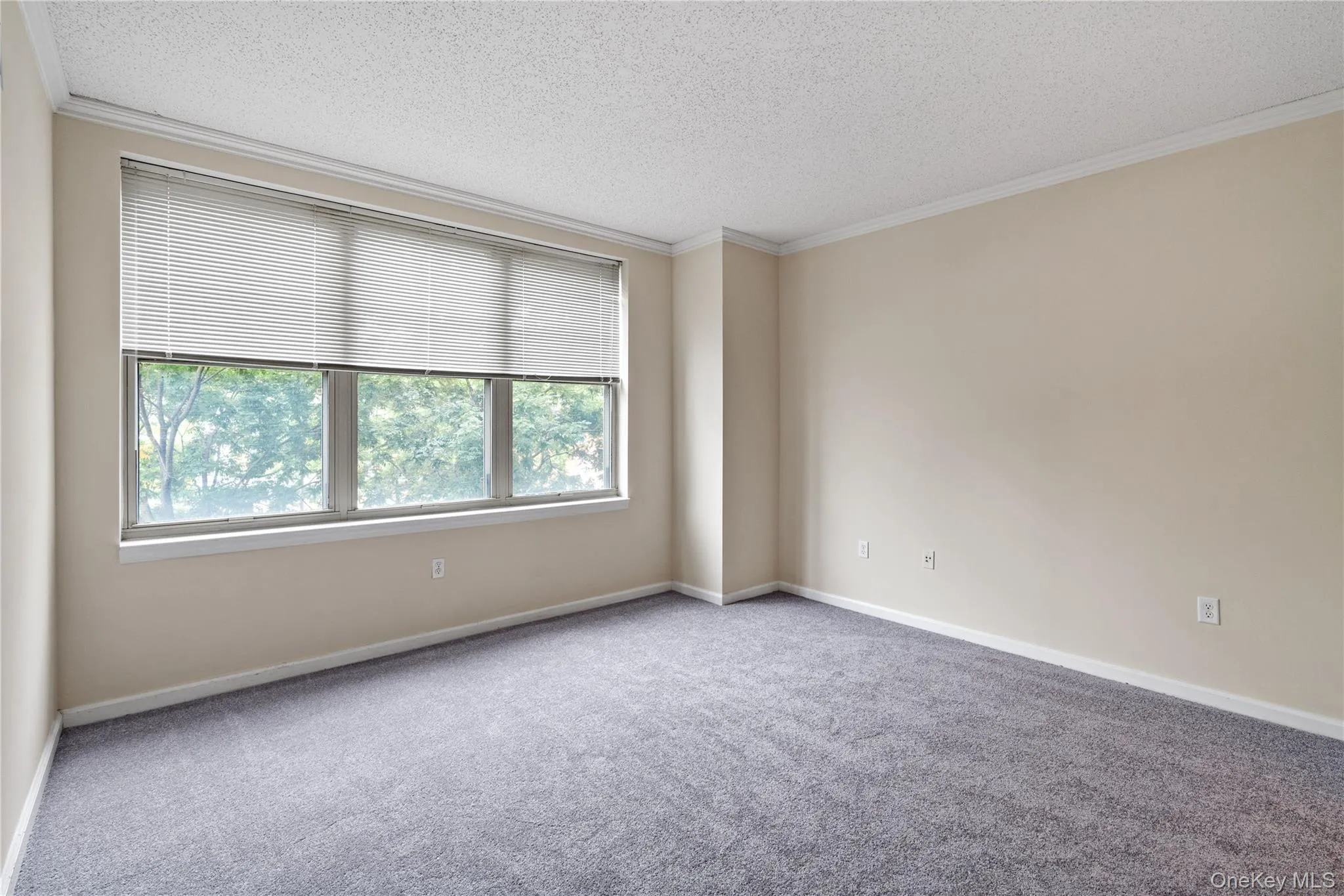 300 Mamaroneck Avenue, White Plains, NY, 2 Bedrooms Bedrooms, 3 Rooms Rooms,2 BathroomsBathrooms,Residential,For Rent,Mamaroneck,0,1042203 300 Mamaroneck Avenue, White Plains, NY, 2 Bedrooms Bedrooms, 3 Rooms Rooms,2 BathroomsBathrooms,Residential,For Rent,Mamaroneck,0,1042203