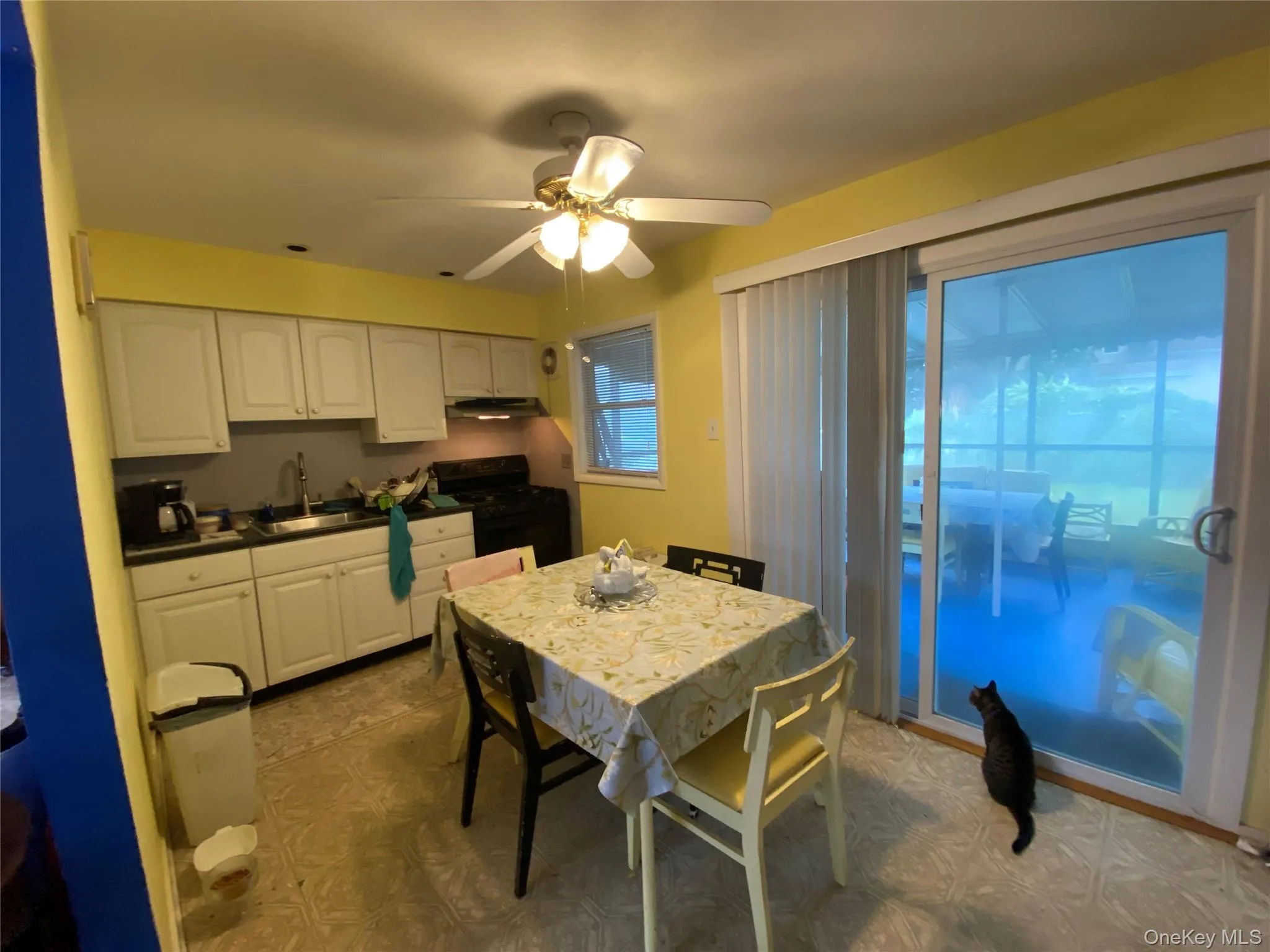 85 Stellenwerf Avenue, Islip, NY, 3 Bedrooms Bedrooms, 8 Rooms Rooms,1 BathroomBathrooms,Residential,For Rent,Stellenwerf,0,1042229 85 Stellenwerf Avenue, Islip, NY, 3 Bedrooms Bedrooms, 8 Rooms Rooms,1 BathroomBathrooms,Residential,For Rent,Stellenwerf,0,1042229