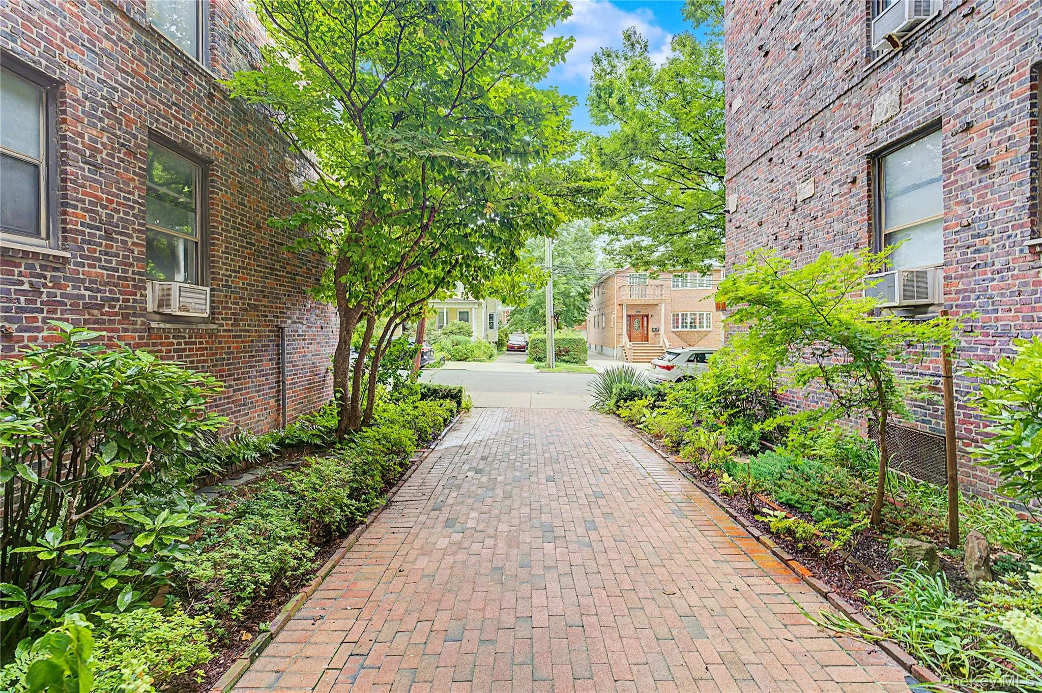 147-37 Beech Avenue, New York, NY, 1 Bedroom Bedrooms, 3 Rooms Rooms,1 BathroomBathrooms,Residential,For Rent,Beech,0,1042261 147-37 Beech Avenue, New York, NY, 1 Bedroom Bedrooms, 3 Rooms Rooms,1 BathroomBathrooms,Residential,For Rent,Beech,0,1042261