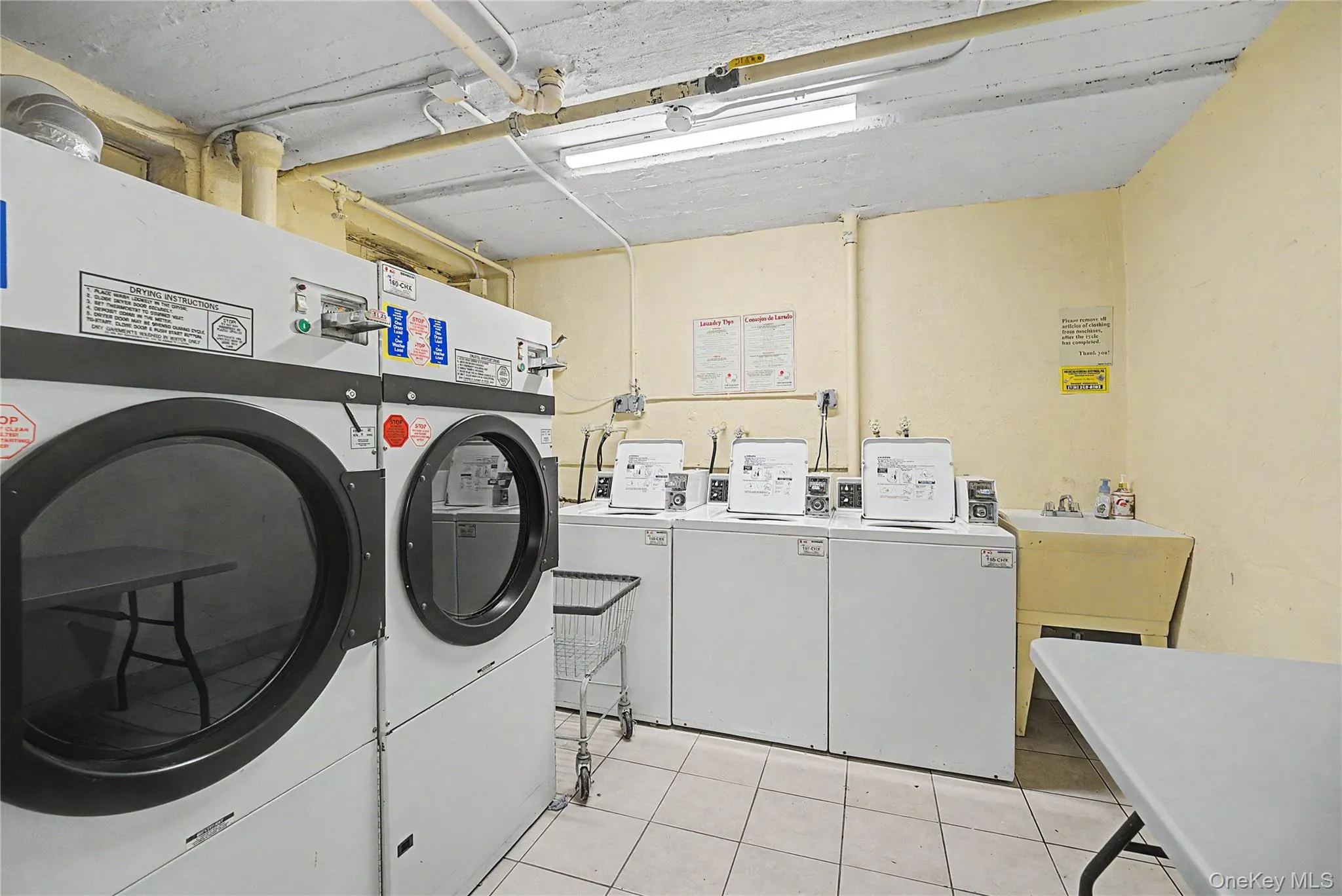 147-37 Beech Avenue, New York, NY, 1 Bedroom Bedrooms, 3 Rooms Rooms,1 BathroomBathrooms,Residential,For Rent,Beech,0,1042261 147-37 Beech Avenue, New York, NY, 1 Bedroom Bedrooms, 3 Rooms Rooms,1 BathroomBathrooms,Residential,For Rent,Beech,0,1042261