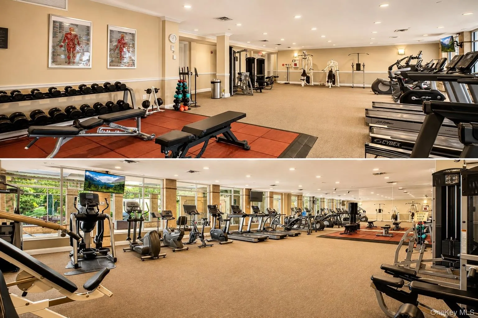 323 Trump Park, Yorktown, NY, 2 Bedrooms Bedrooms, 8 Rooms Rooms,2 BathroomsBathrooms,Residential,For Rent,Trump,0,1042275 323 Trump Park, Yorktown, NY, 2 Bedrooms Bedrooms, 8 Rooms Rooms,2 BathroomsBathrooms,Residential,For Rent,Trump,0,1042275
