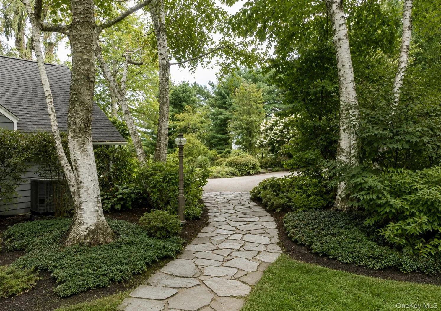 Path to Driveway Path to Driveway