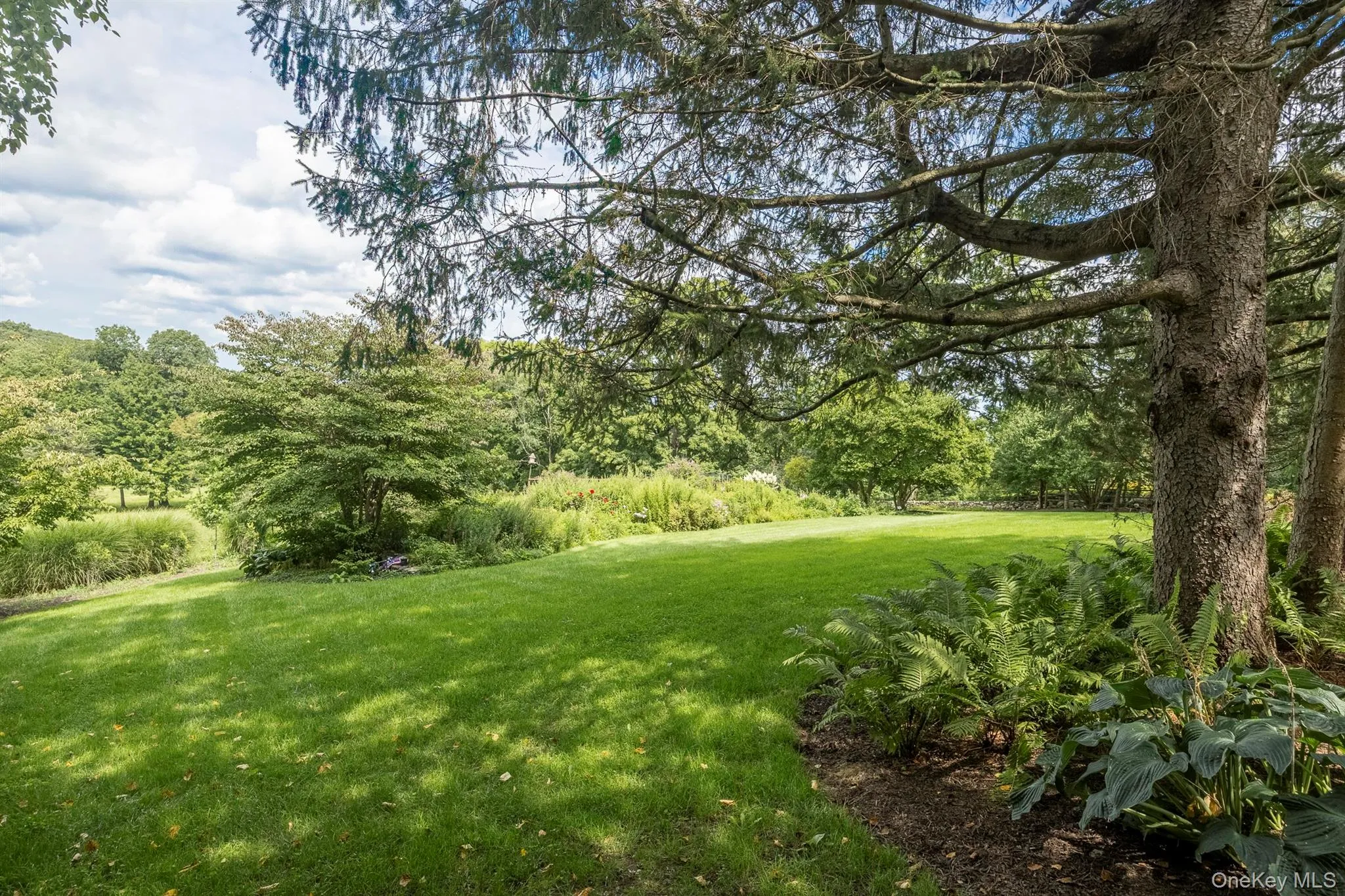 Rear Lawn Rear Lawn