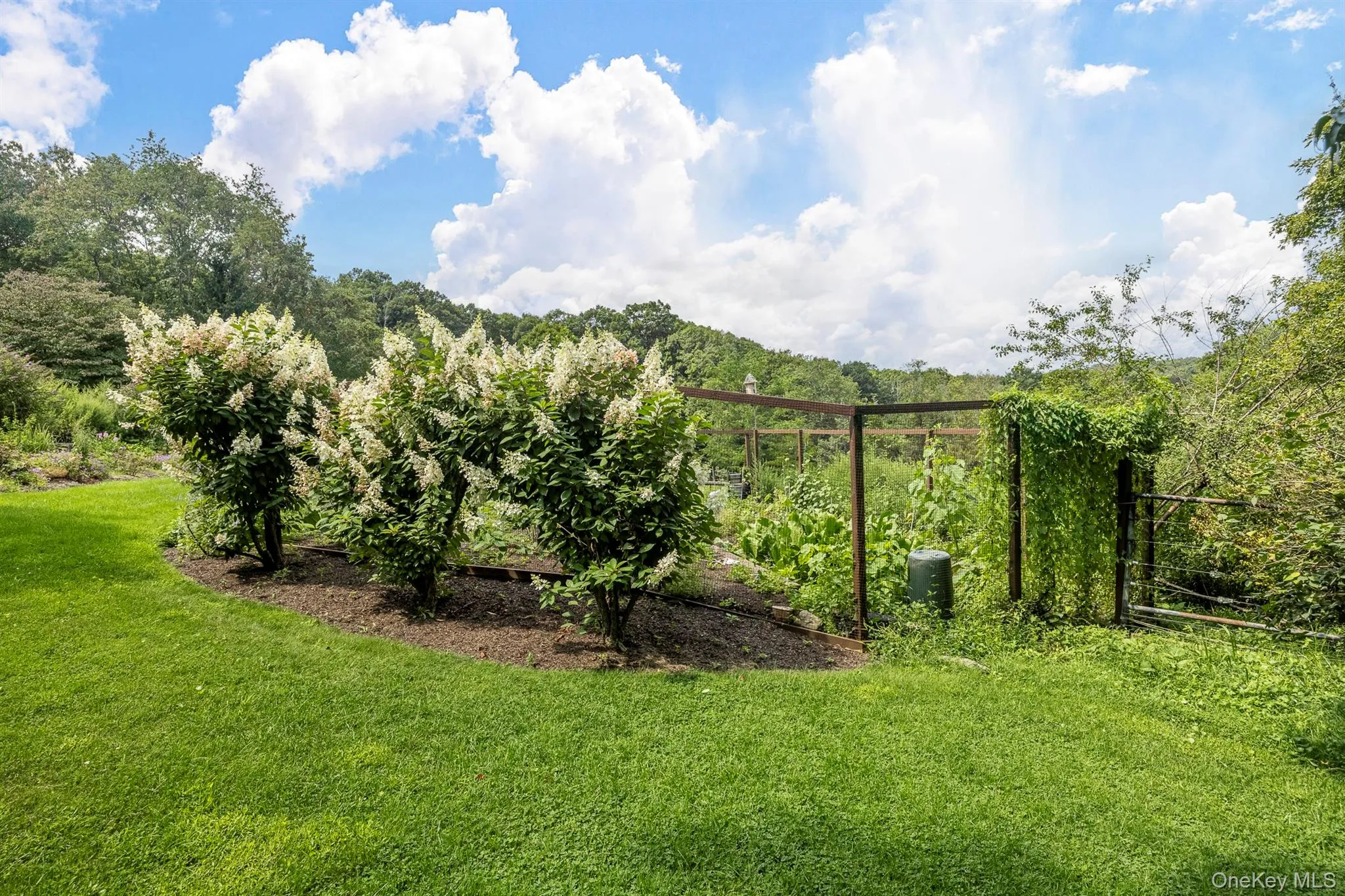 Gardens Gardens