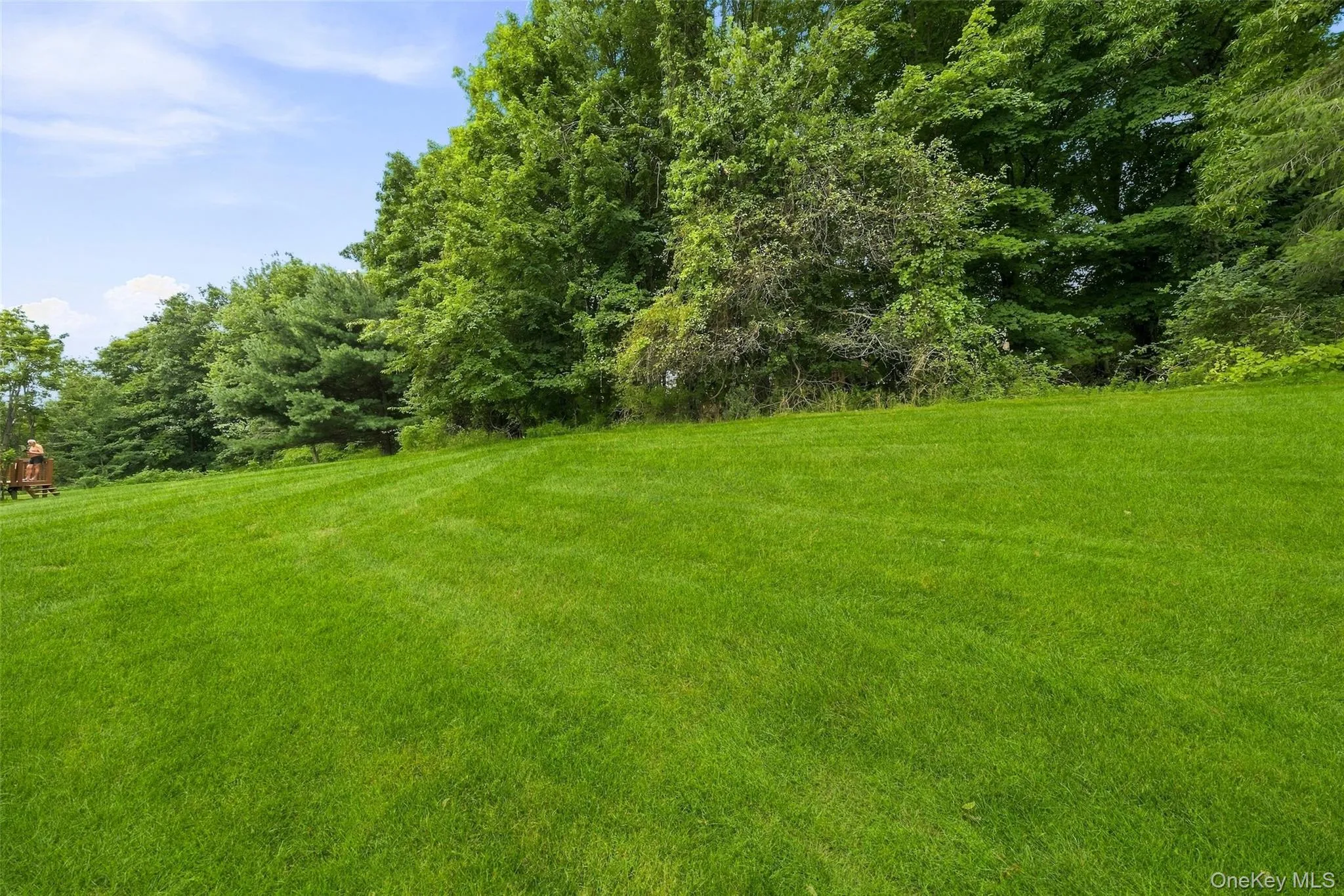 60 Rockridge Drive, Woodbury, NY, 2 Bedrooms Bedrooms, 5 Rooms Rooms,2 BathroomsBathrooms,Residential,For Rent,Rockridge,0,1042318 60 Rockridge Drive, Woodbury, NY, 2 Bedrooms Bedrooms, 5 Rooms Rooms,2 BathroomsBathrooms,Residential,For Rent,Rockridge,0,1042318