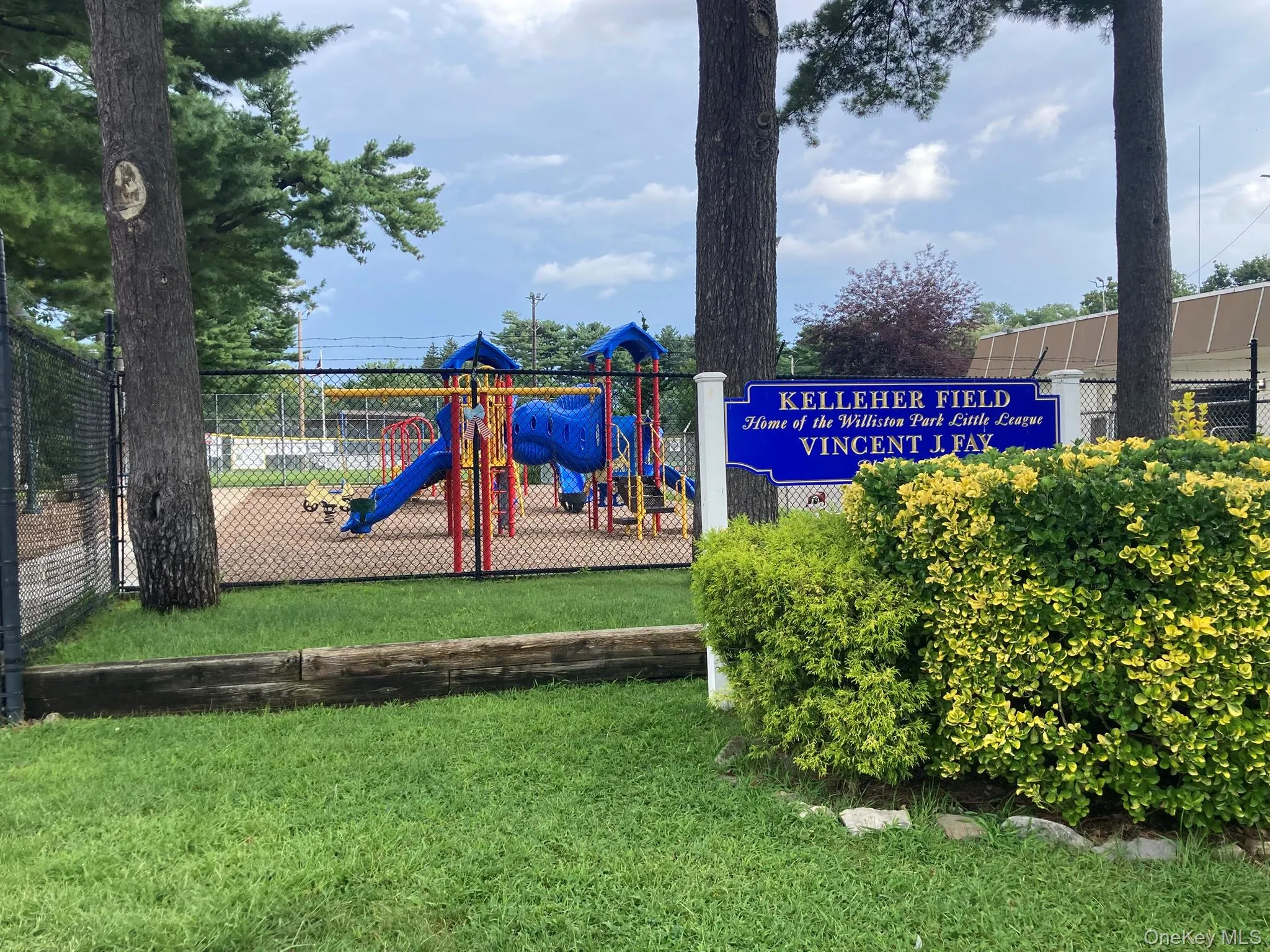 Park Park