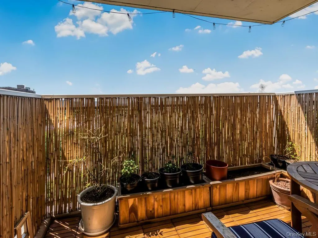 920 Metcalf Avenue, New York, NY, 1 Bedroom Bedrooms, 4 Rooms Rooms,1 BathroomBathrooms,Residential,For Rent,Metcalf,0,1042430 920 Metcalf Avenue, New York, NY, 1 Bedroom Bedrooms, 4 Rooms Rooms,1 BathroomBathrooms,Residential,For Rent,Metcalf,0,1042430
