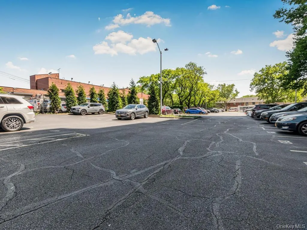 920 Metcalf Avenue, New York, NY, 1 Bedroom Bedrooms, 4 Rooms Rooms,1 BathroomBathrooms,Residential,For Rent,Metcalf,0,1042430 920 Metcalf Avenue, New York, NY, 1 Bedroom Bedrooms, 4 Rooms Rooms,1 BathroomBathrooms,Residential,For Rent,Metcalf,0,1042430