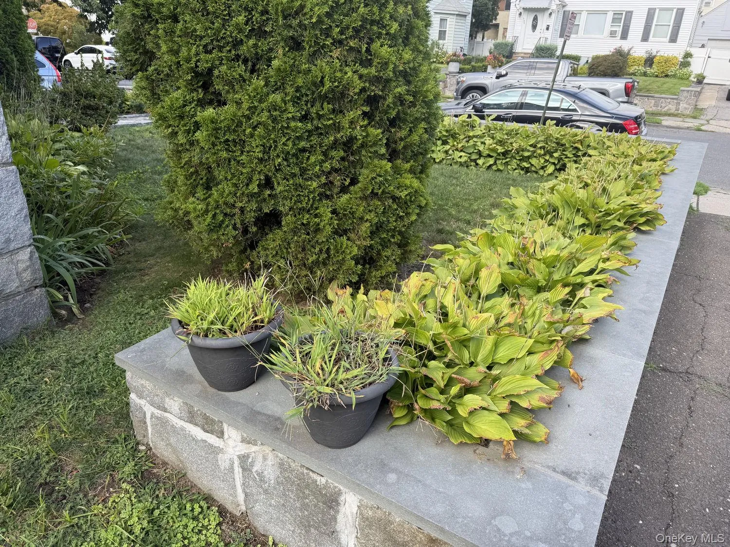 332 Rich Avenue, Mount Vernon, NY, 4 Bedrooms Bedrooms, 7 Rooms Rooms,1 BathroomBathrooms,Residential,For Rent,Rich,0,1042454 332 Rich Avenue, Mount Vernon, NY, 4 Bedrooms Bedrooms, 7 Rooms Rooms,1 BathroomBathrooms,Residential,For Rent,Rich,0,1042454