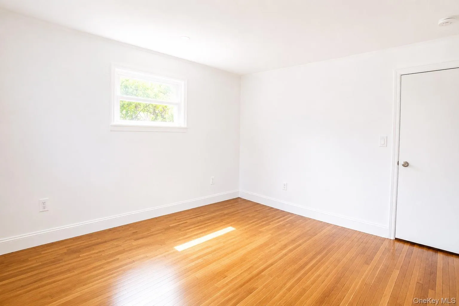 330 Broadway, Long Beach, NY, 1 Bedroom Bedrooms, 4 Rooms Rooms,1 BathroomBathrooms,Residential Lease,For Rent,Broadway,0,1042464 330 Broadway, Long Beach, NY, 1 Bedroom Bedrooms, 4 Rooms Rooms,1 BathroomBathrooms,Residential Lease,For Rent,Broadway,0,1042464