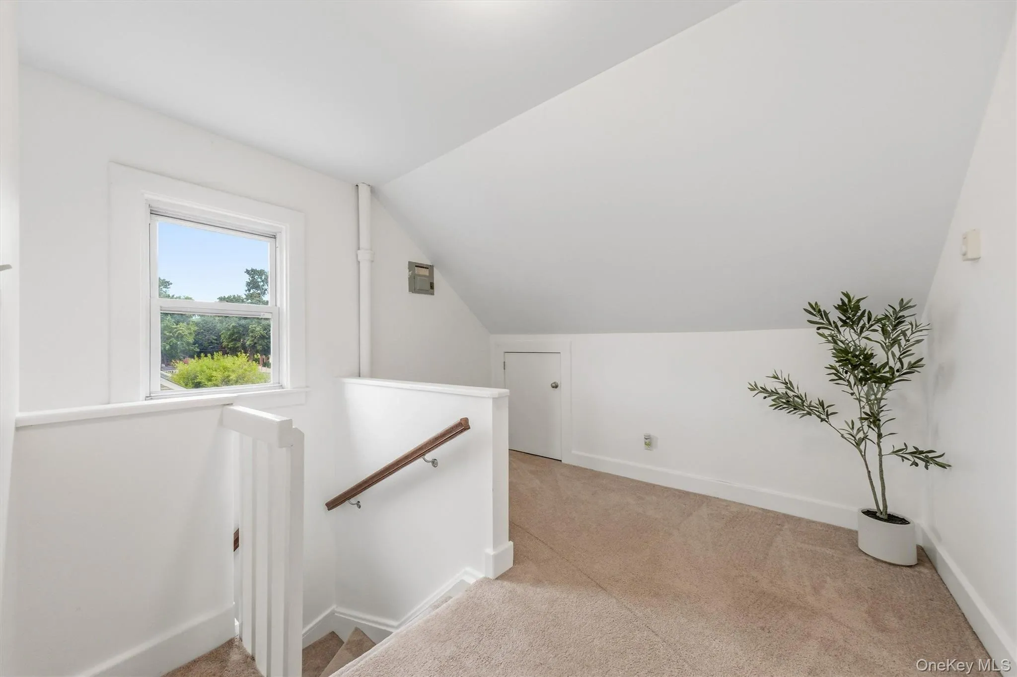 19 Forsythe Place, Newburgh (city), NY, 5 Bedrooms Bedrooms, 9 Rooms Rooms,1 BathroomBathrooms,Residential,For Rent,Forsythe,0,1042470 19 Forsythe Place, Newburgh (city), NY, 5 Bedrooms Bedrooms, 9 Rooms Rooms,1 BathroomBathrooms,Residential,For Rent,Forsythe,0,1042470