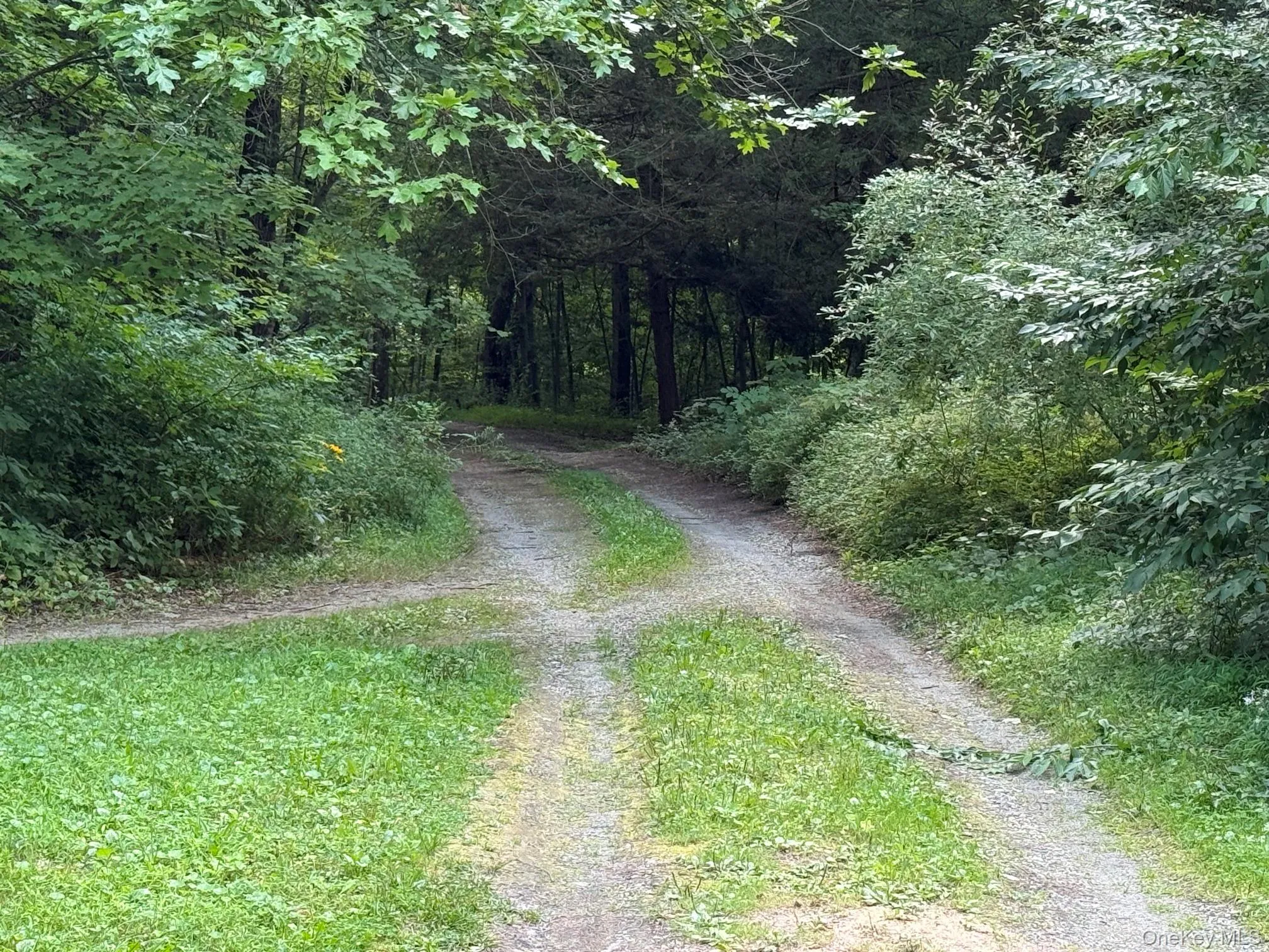 85 Bella Vista Road, Amenia, NY, 2 Bedrooms Bedrooms, 5 Rooms Rooms,1 BathroomBathrooms,Residential,For Rent,Bella Vista,0,1042548 85 Bella Vista Road, Amenia, NY, 2 Bedrooms Bedrooms, 5 Rooms Rooms,1 BathroomBathrooms,Residential,For Rent,Bella Vista,0,1042548