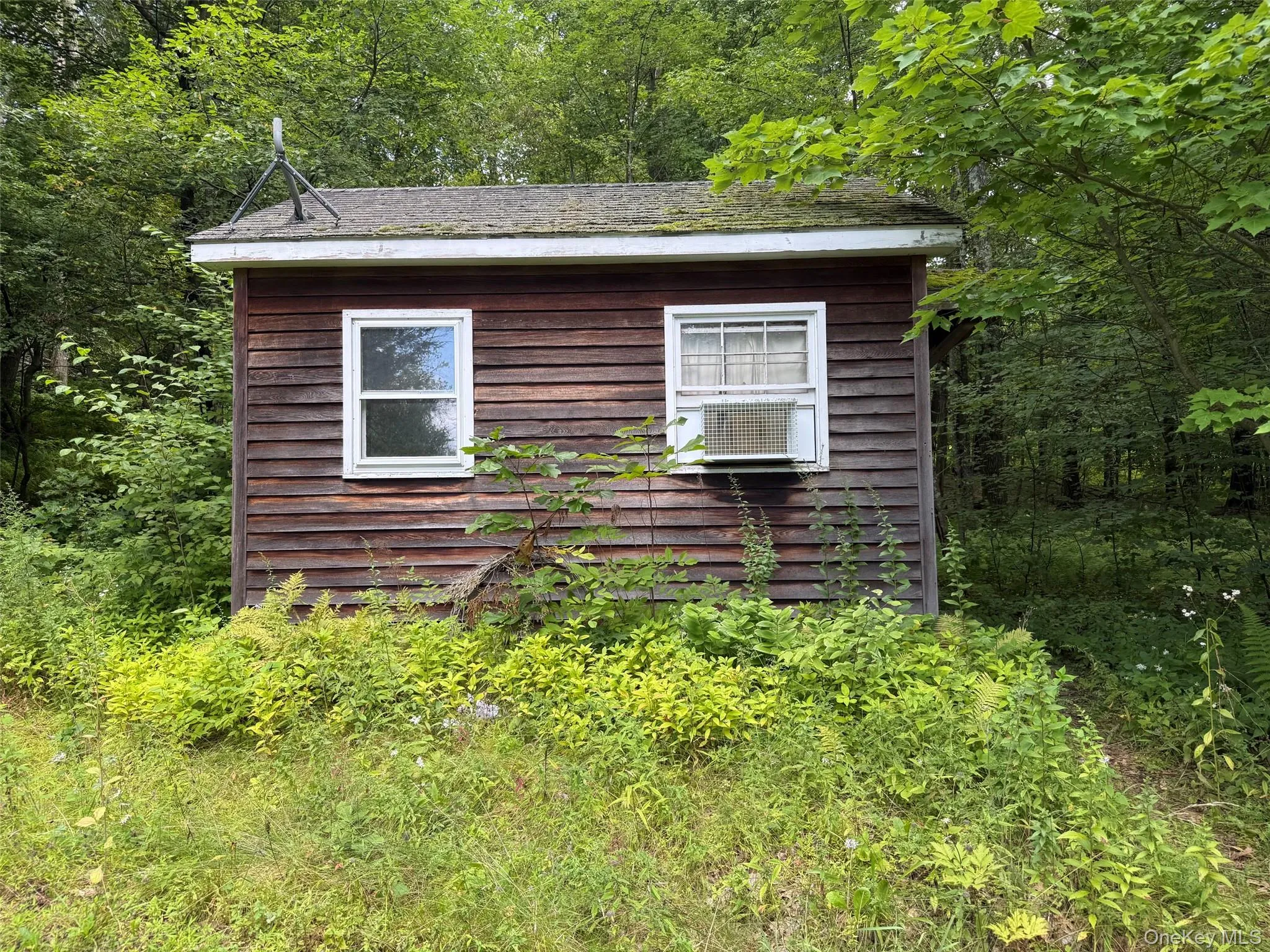 85 Bella Vista Road, Amenia, NY, 2 Bedrooms Bedrooms, 5 Rooms Rooms,1 BathroomBathrooms,Residential,For Rent,Bella Vista,0,1042548 85 Bella Vista Road, Amenia, NY, 2 Bedrooms Bedrooms, 5 Rooms Rooms,1 BathroomBathrooms,Residential,For Rent,Bella Vista,0,1042548