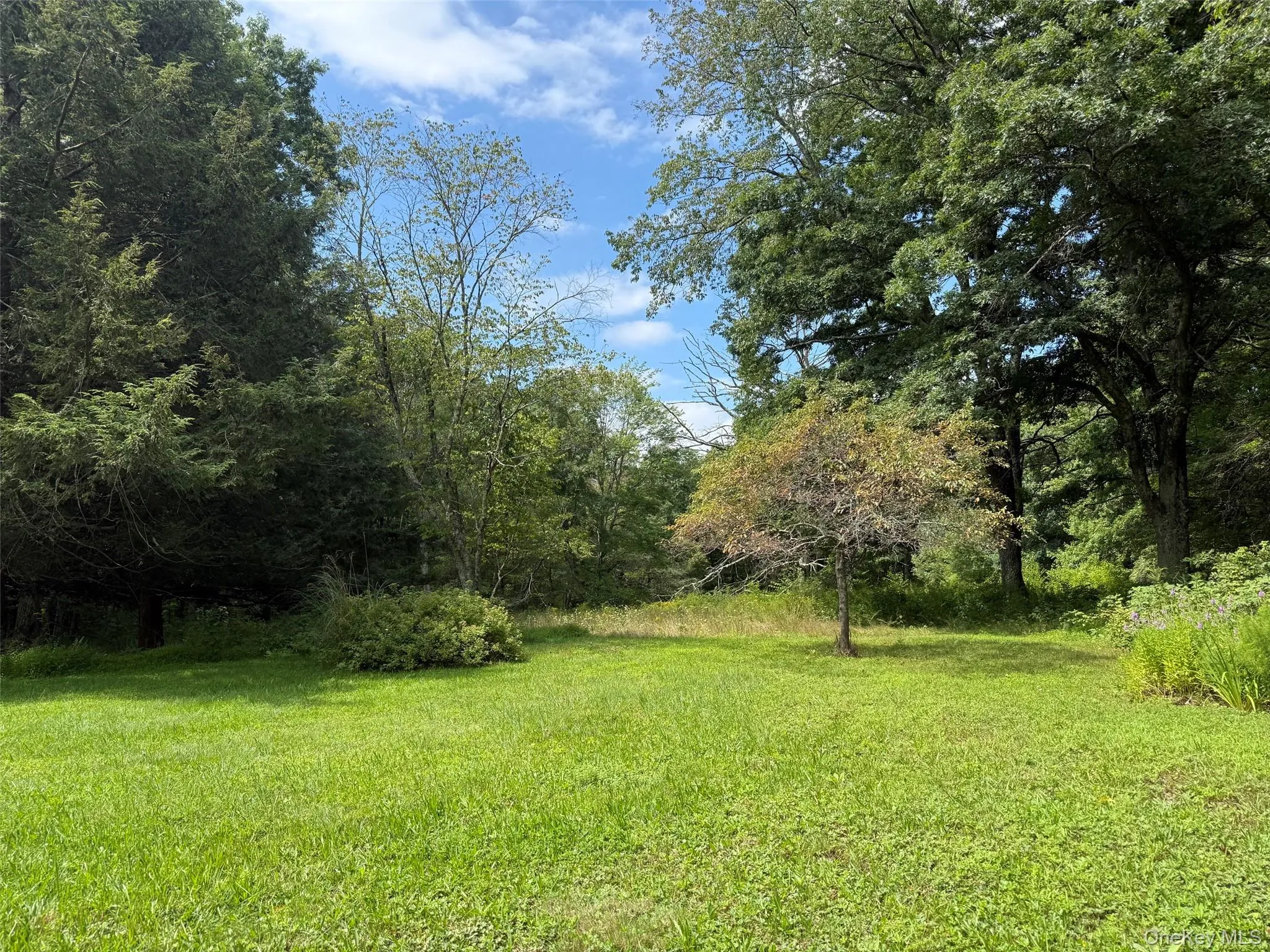 85 Bella Vista Road, Amenia, NY, 2 Bedrooms Bedrooms, 5 Rooms Rooms,1 BathroomBathrooms,Residential,For Rent,Bella Vista,0,1042548 85 Bella Vista Road, Amenia, NY, 2 Bedrooms Bedrooms, 5 Rooms Rooms,1 BathroomBathrooms,Residential,For Rent,Bella Vista,0,1042548