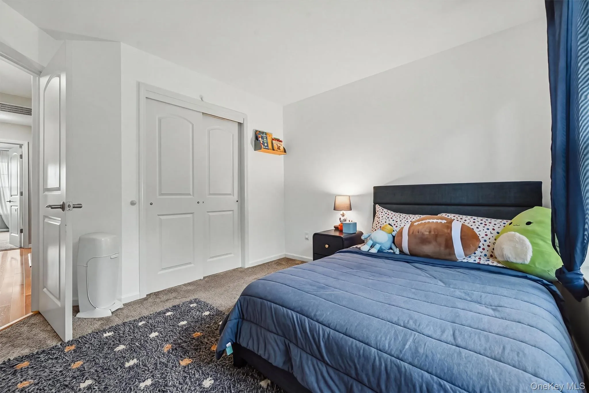 Third Bedroom & Closet Third Bedroom & Closet