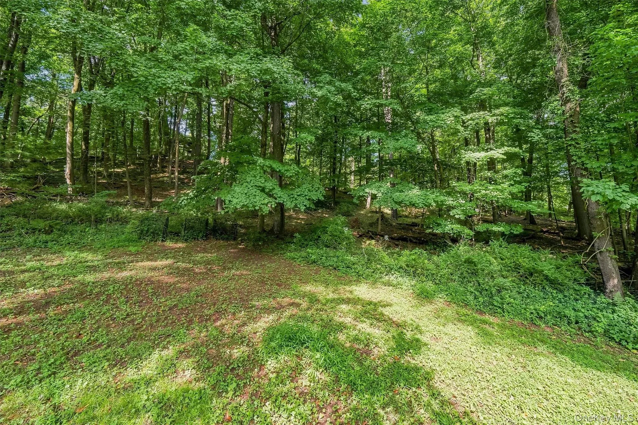 383 Rt 32, Woodbury, NY, 3 Bedrooms Bedrooms, 7 Rooms Rooms,2 BathroomsBathrooms,Residential Lease,For Rent,Rt 32,0,1042593 383 Rt 32, Woodbury, NY, 3 Bedrooms Bedrooms, 7 Rooms Rooms,2 BathroomsBathrooms,Residential Lease,For Rent,Rt 32,0,1042593