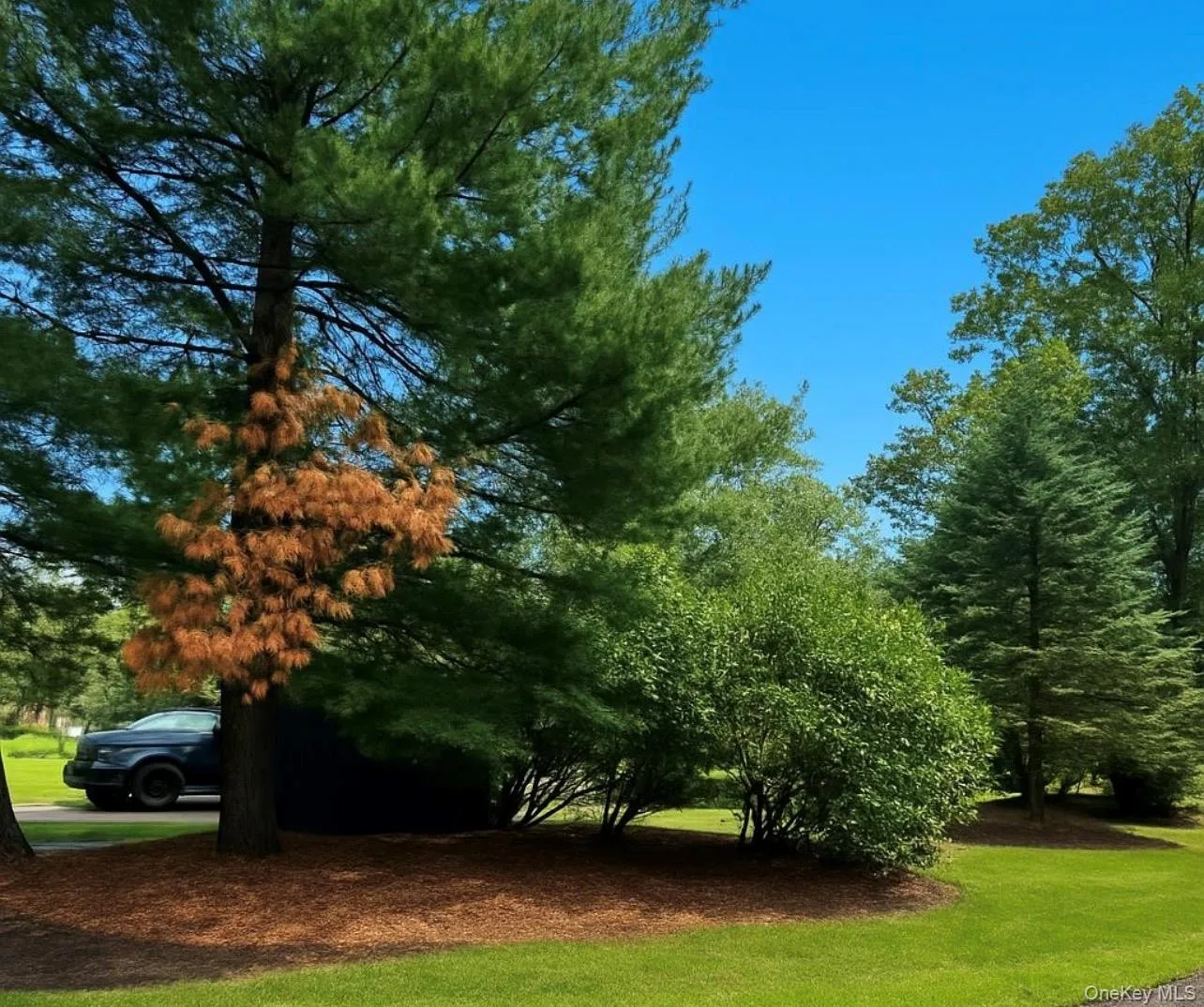 30 Marbeth Circle, Brookhaven, NY, 3 Bedrooms Bedrooms, 8 Rooms Rooms,1 BathroomBathrooms,Residential,For Rent,Marbeth,0,1042603 30 Marbeth Circle, Brookhaven, NY, 3 Bedrooms Bedrooms, 8 Rooms Rooms,1 BathroomBathrooms,Residential,For Rent,Marbeth,0,1042603