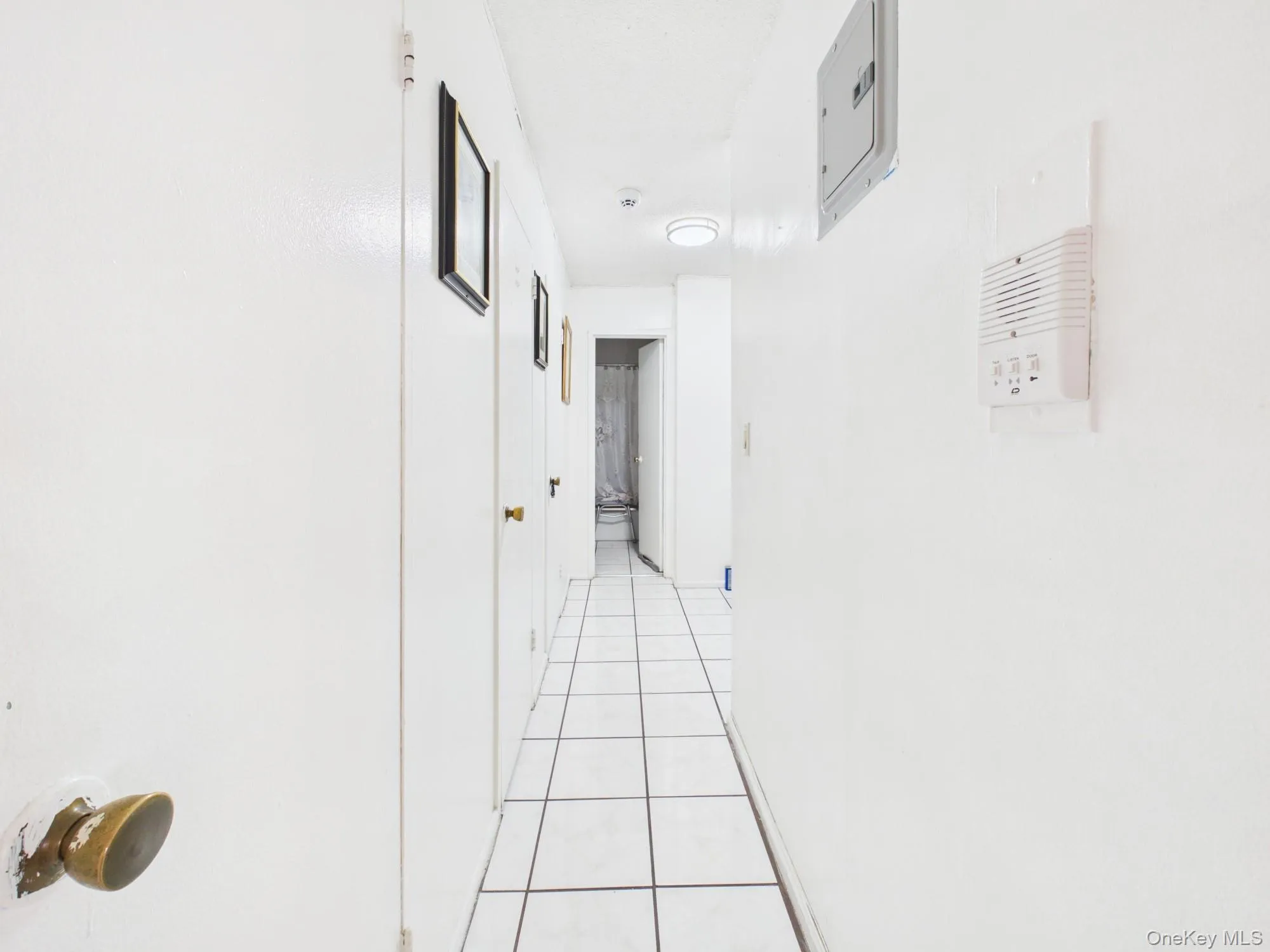 1966 Newbold Avenue, New York, NY, 2 Bedrooms Bedrooms, 5 Rooms Rooms,1 BathroomBathrooms,Residential,For Rent,Newbold,0,1042655 1966 Newbold Avenue, New York, NY, 2 Bedrooms Bedrooms, 5 Rooms Rooms,1 BathroomBathrooms,Residential,For Rent,Newbold,0,1042655