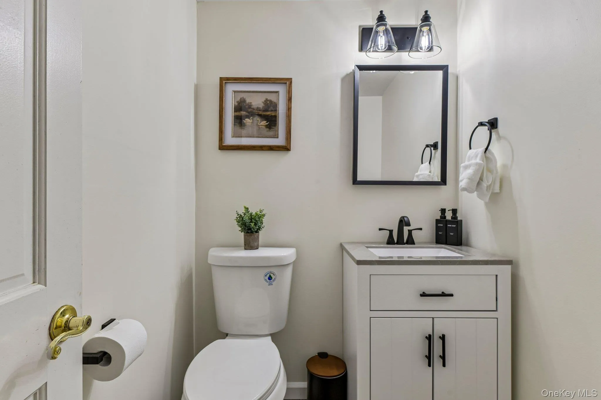 Half bath in Lower area Half bath in Lower area