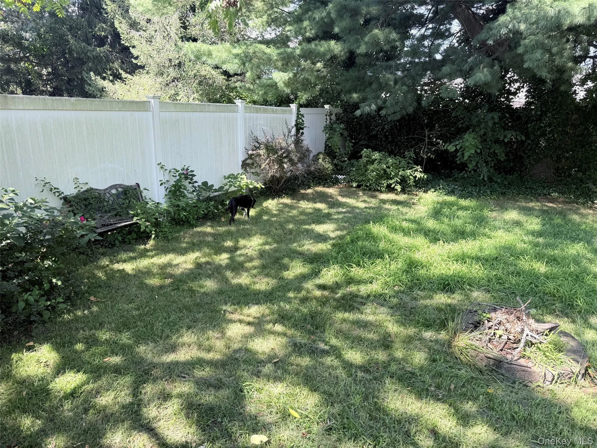 110 Tudor Road, Brookhaven, NY, 4 Bedrooms Bedrooms, 8 Rooms Rooms,2 BathroomsBathrooms,Residential,For Rent,Tudor,0,1042696 110 Tudor Road, Brookhaven, NY, 4 Bedrooms Bedrooms, 8 Rooms Rooms,2 BathroomsBathrooms,Residential,For Rent,Tudor,0,1042696