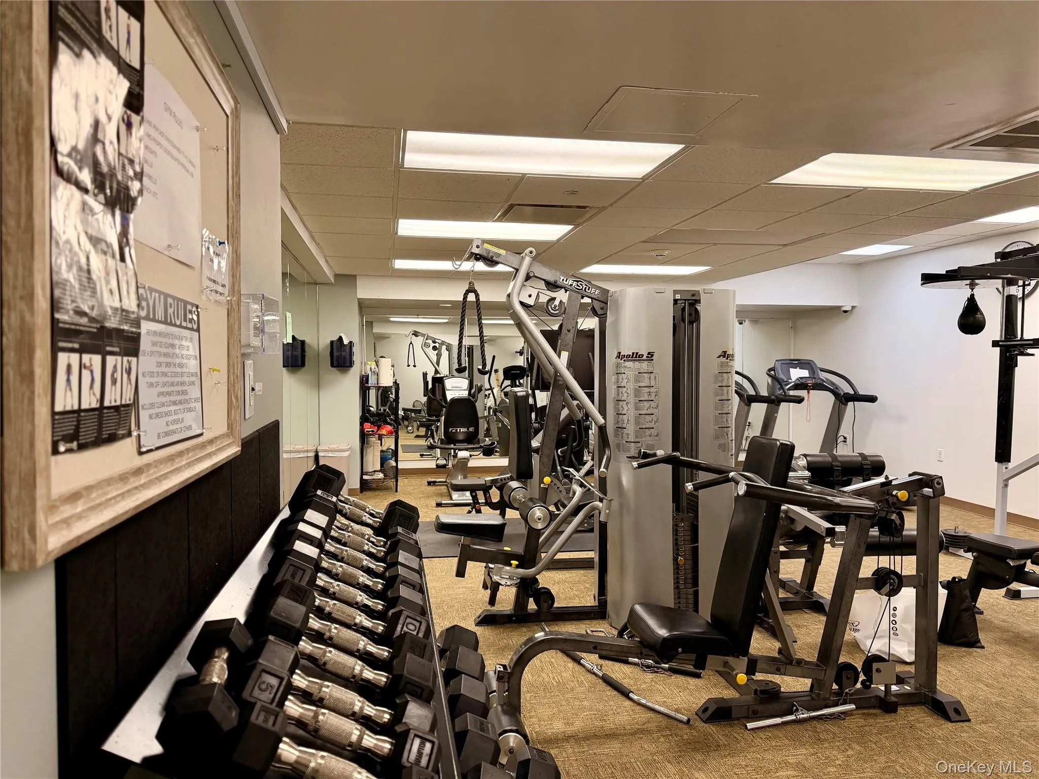 543 Main Street, New Rochelle, NY, 1 Bedroom Bedrooms, 3 Rooms Rooms,1 BathroomBathrooms,Residential Lease,For Rent,Main,0,1042700 543 Main Street, New Rochelle, NY, 1 Bedroom Bedrooms, 3 Rooms Rooms,1 BathroomBathrooms,Residential Lease,For Rent,Main,0,1042700