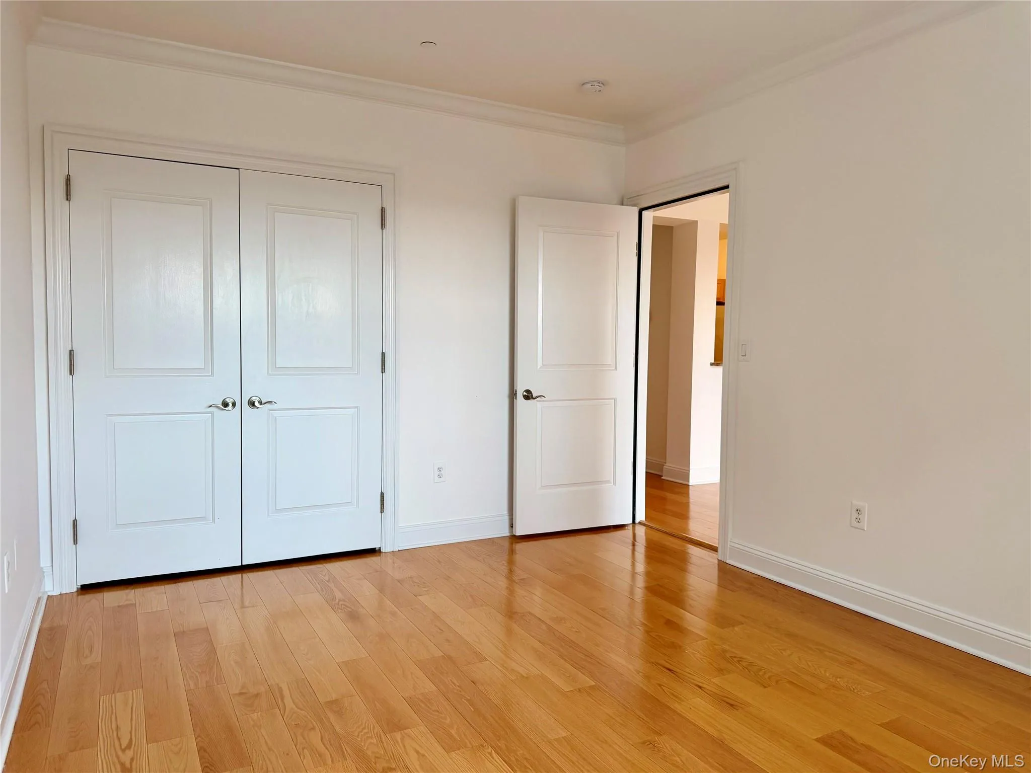543 Main Street, New Rochelle, NY, 1 Bedroom Bedrooms, 3 Rooms Rooms,1 BathroomBathrooms,Residential Lease,For Rent,Main,0,1042700 543 Main Street, New Rochelle, NY, 1 Bedroom Bedrooms, 3 Rooms Rooms,1 BathroomBathrooms,Residential Lease,For Rent,Main,0,1042700