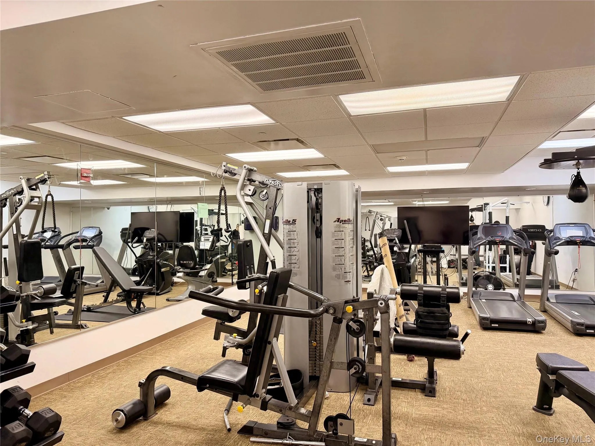 543 Main Street, New Rochelle, NY, 1 Bedroom Bedrooms, 3 Rooms Rooms,1 BathroomBathrooms,Residential Lease,For Rent,Main,0,1042700 543 Main Street, New Rochelle, NY, 1 Bedroom Bedrooms, 3 Rooms Rooms,1 BathroomBathrooms,Residential Lease,For Rent,Main,0,1042700
