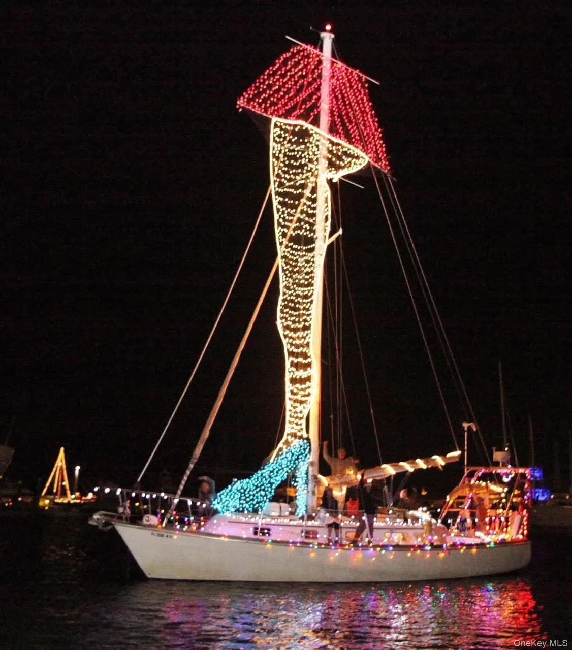 You never know what you'll see at Christmas and Holiday Boat Parades You never know what you'll see at Christmas and Holiday Boat Parades