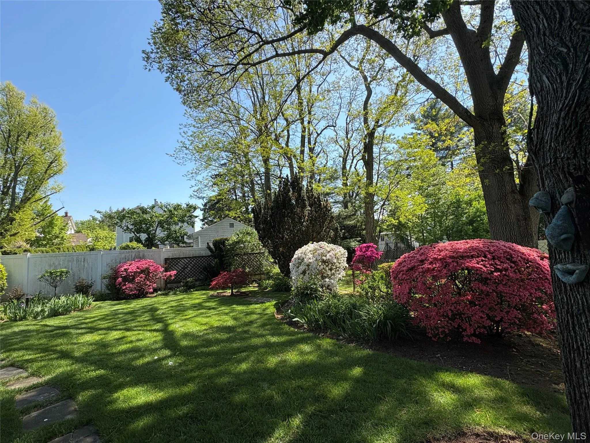 Backyard Backyard