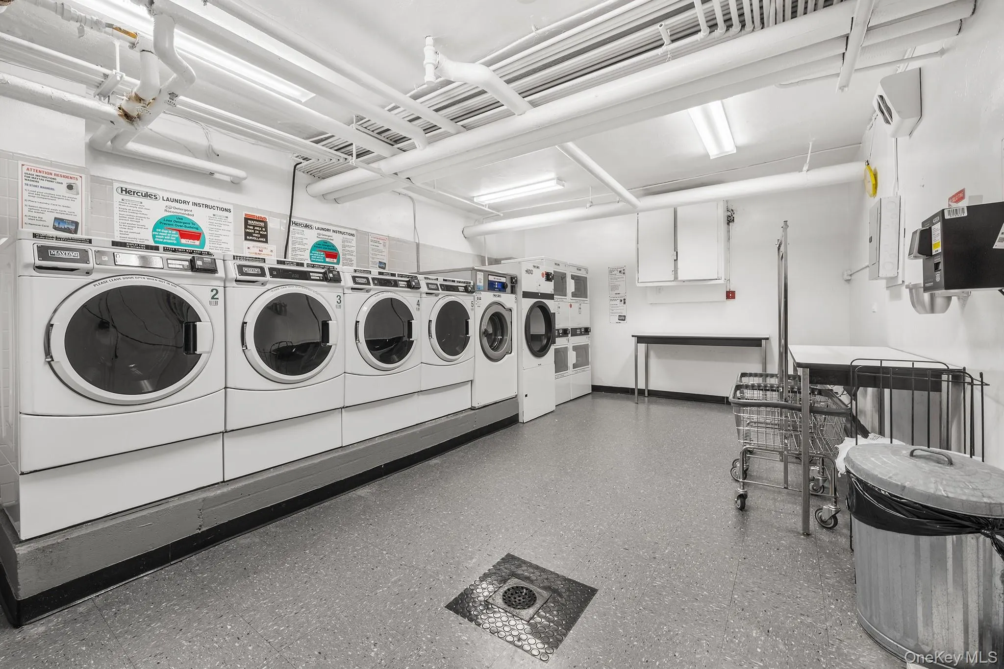 87-15 165th Street, New York, NY, 1 Bedroom Bedrooms, 3 Rooms Rooms,1 BathroomBathrooms,Residential,For Rent,165th,0,1042764 87-15 165th Street, New York, NY, 1 Bedroom Bedrooms, 3 Rooms Rooms,1 BathroomBathrooms,Residential,For Rent,165th,0,1042764