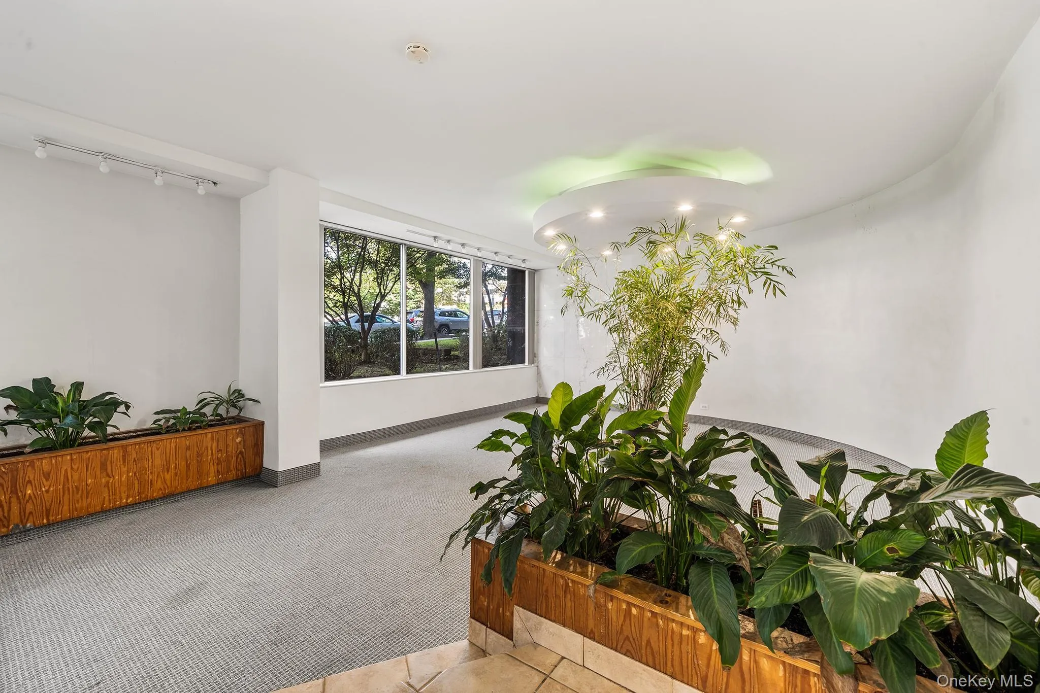 87-15 165th Street, New York, NY, 1 Bedroom Bedrooms, 3 Rooms Rooms,1 BathroomBathrooms,Residential,For Rent,165th,0,1042764 87-15 165th Street, New York, NY, 1 Bedroom Bedrooms, 3 Rooms Rooms,1 BathroomBathrooms,Residential,For Rent,165th,0,1042764
