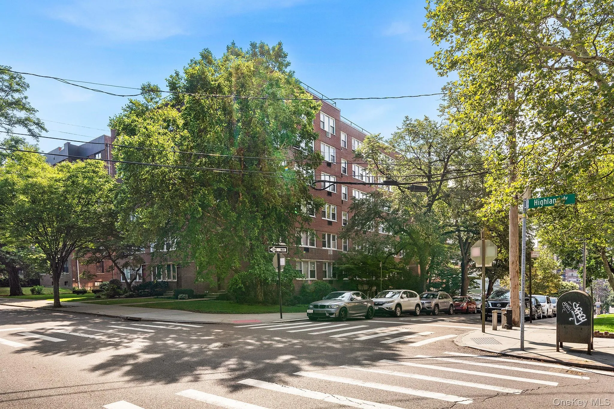 87-15 165th Street, New York, NY, 1 Bedroom Bedrooms, 3 Rooms Rooms,1 BathroomBathrooms,Residential,For Rent,165th,0,1042764 87-15 165th Street, New York, NY, 1 Bedroom Bedrooms, 3 Rooms Rooms,1 BathroomBathrooms,Residential,For Rent,165th,0,1042764